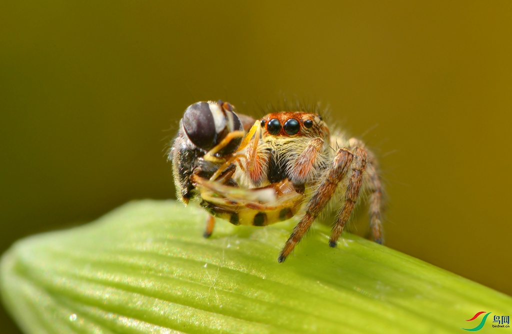 DSC_8765.JPG