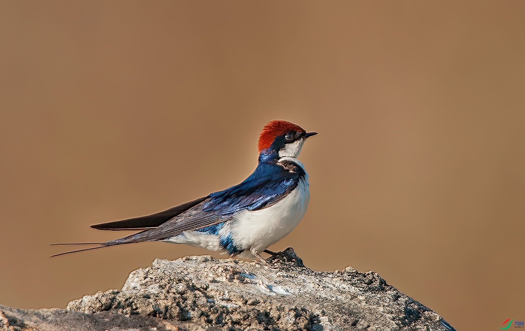 D3S_3891.jpg
