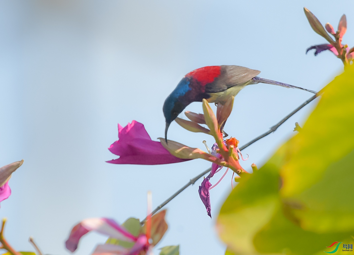 DSC_4014.JPG