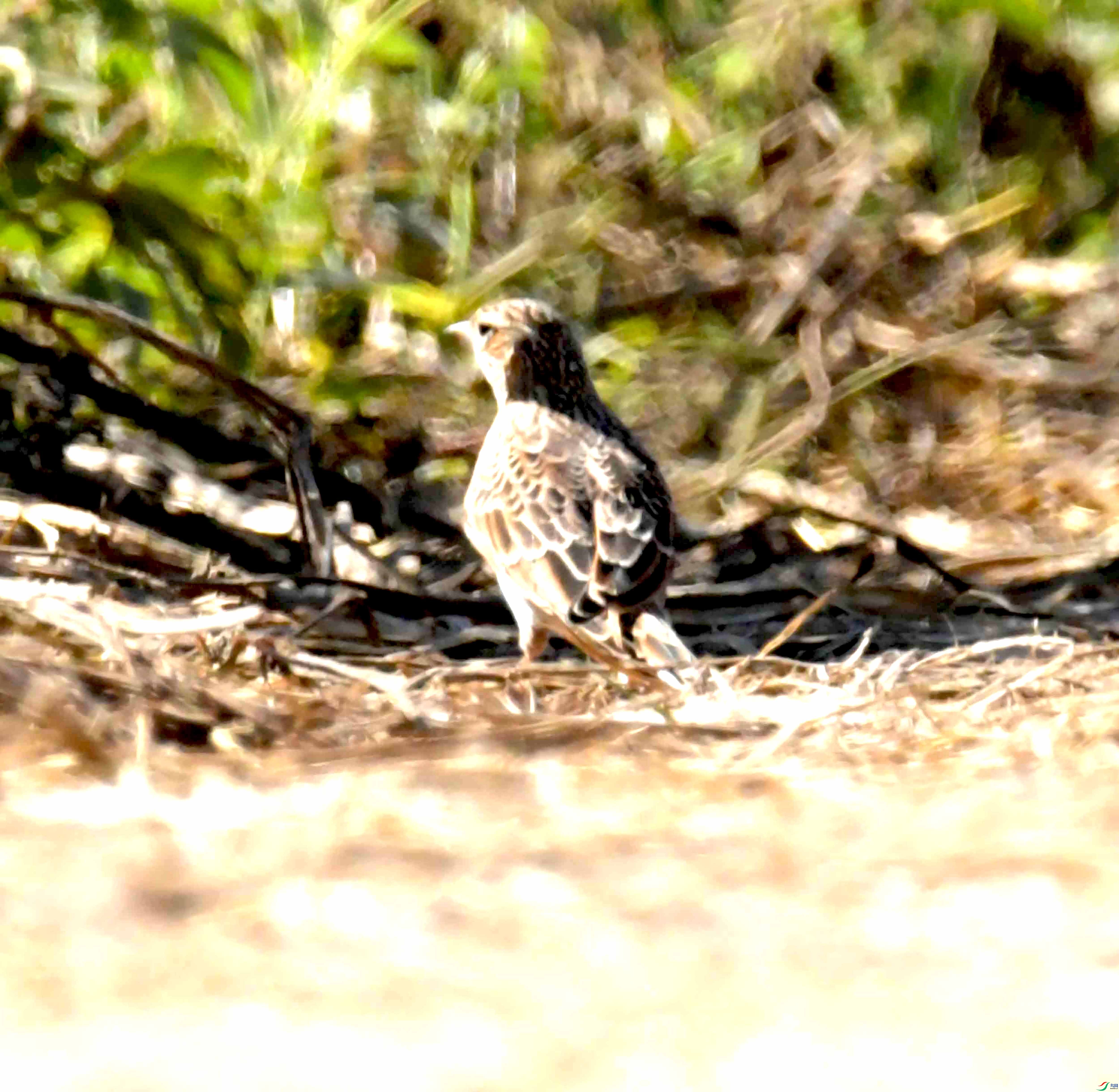 DSC_8840.JPG