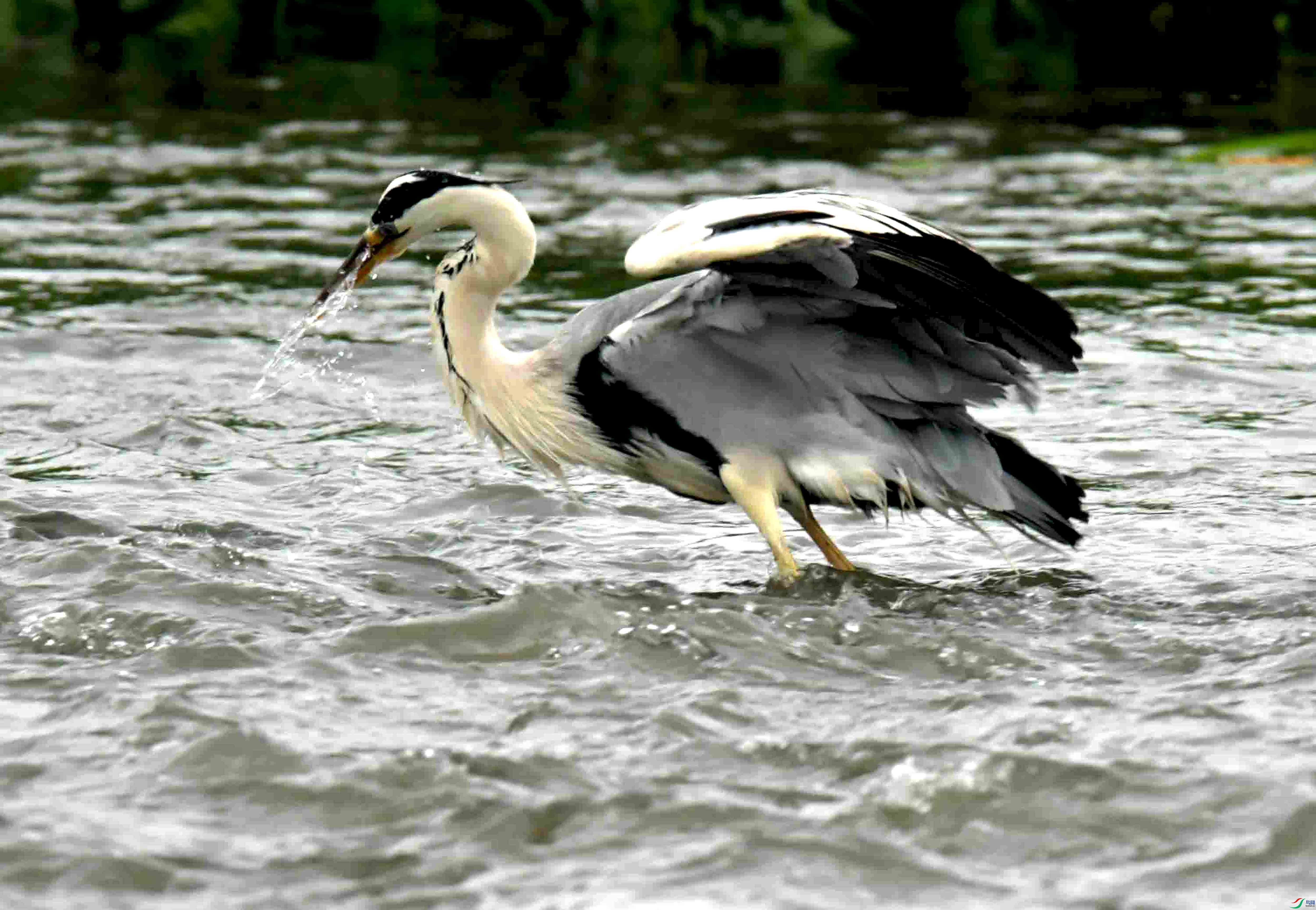 DSC_1359.JPG