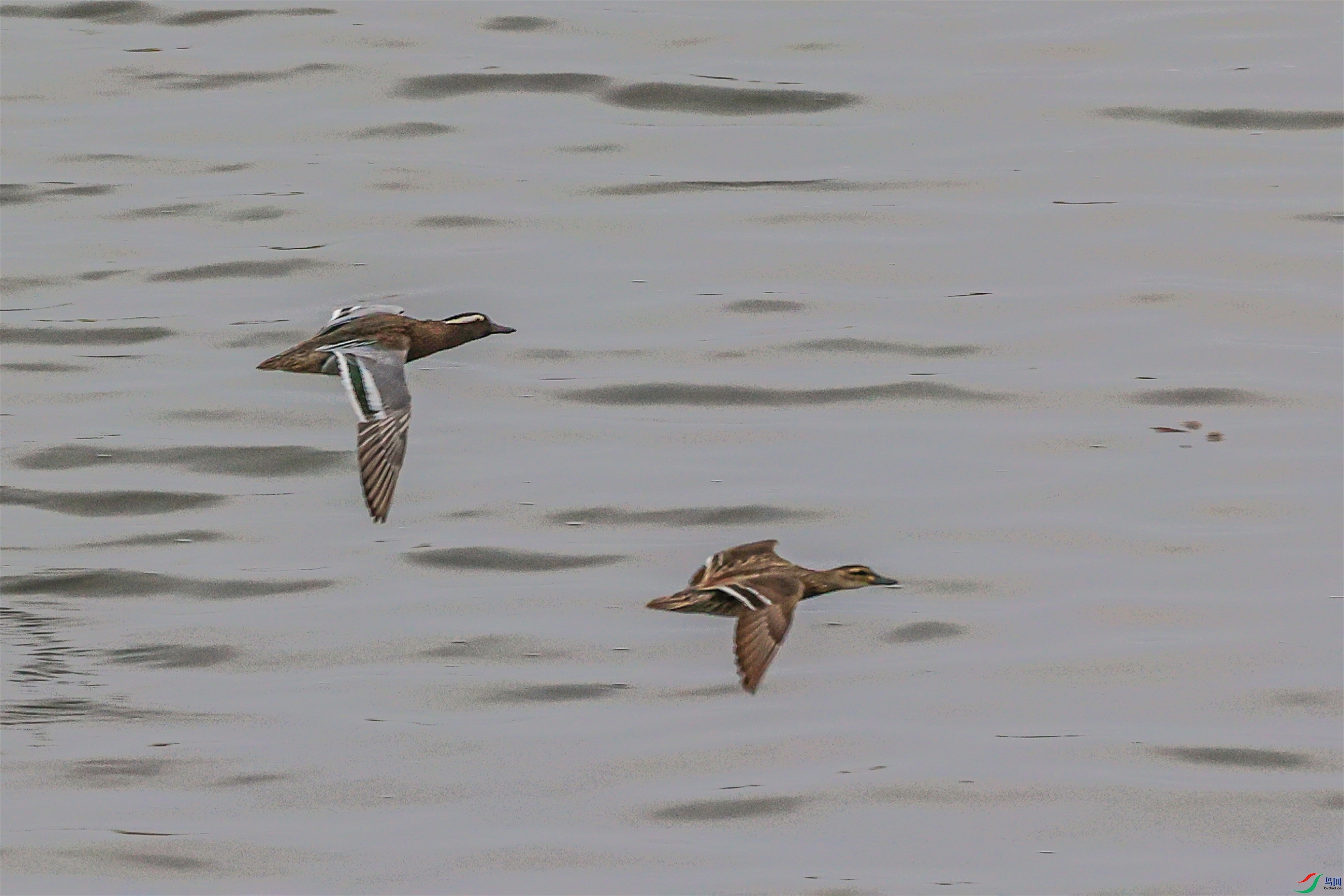 1K3A7768 ����1.jpg