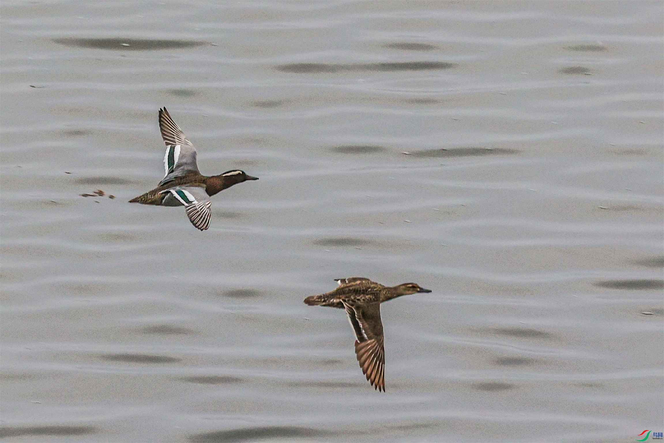 1K3A7770 ����1.jpg