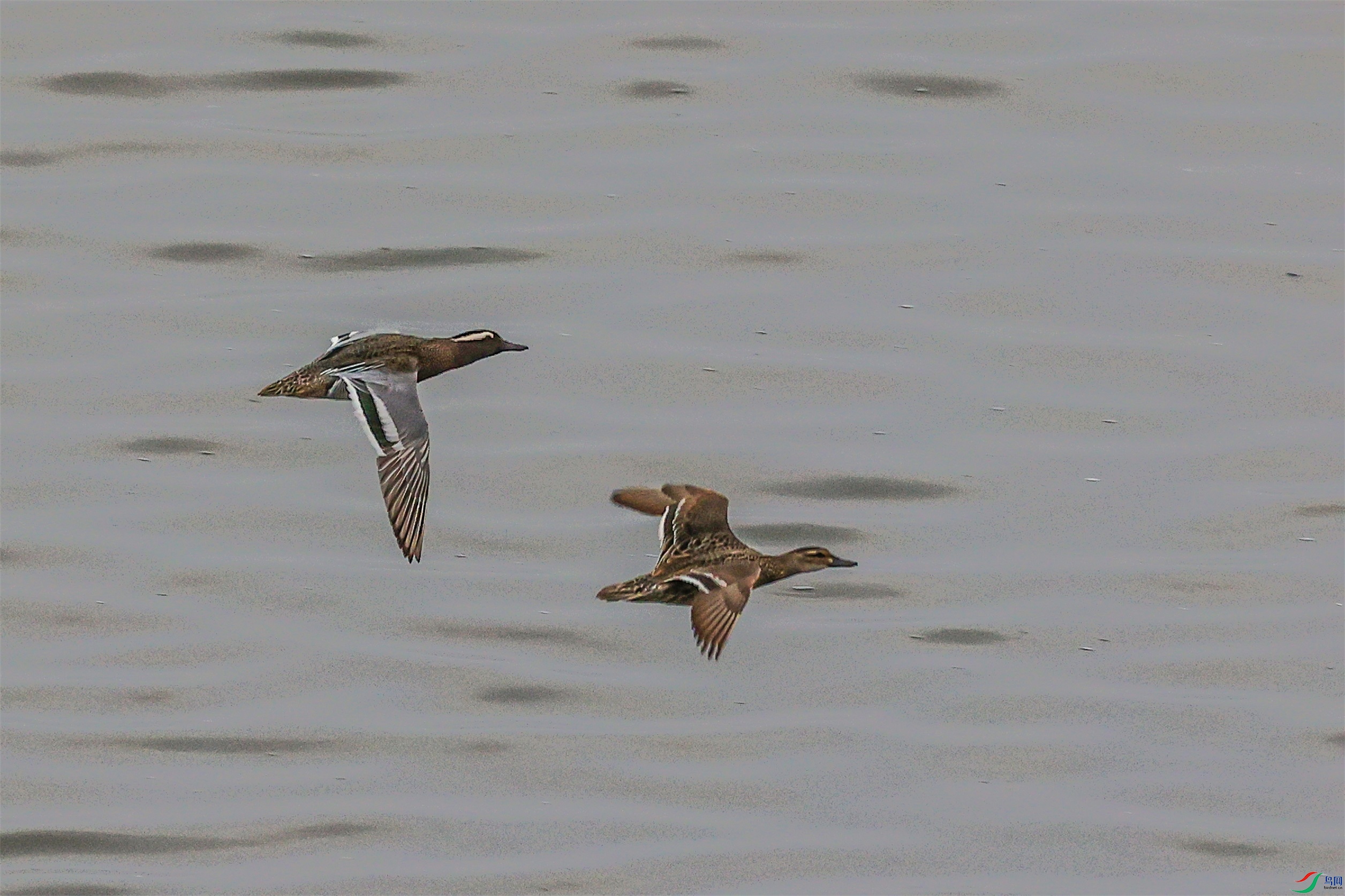 1K3A7771 ����1.jpg