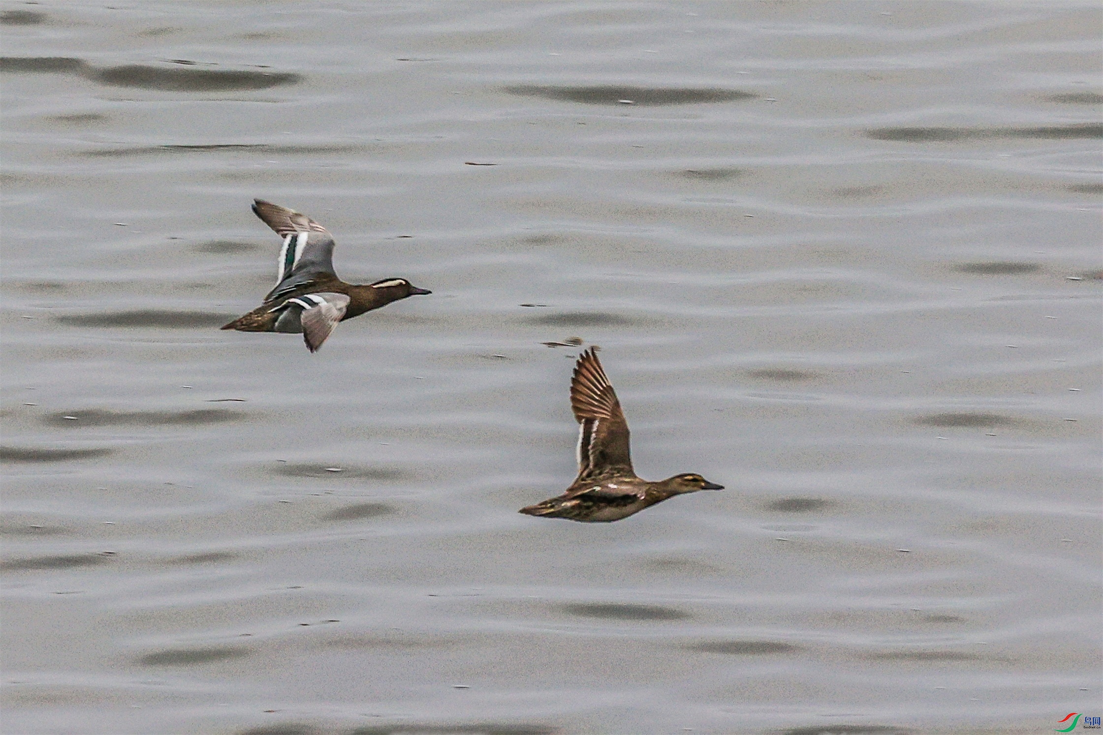 1K3A7769 ����1.jpg