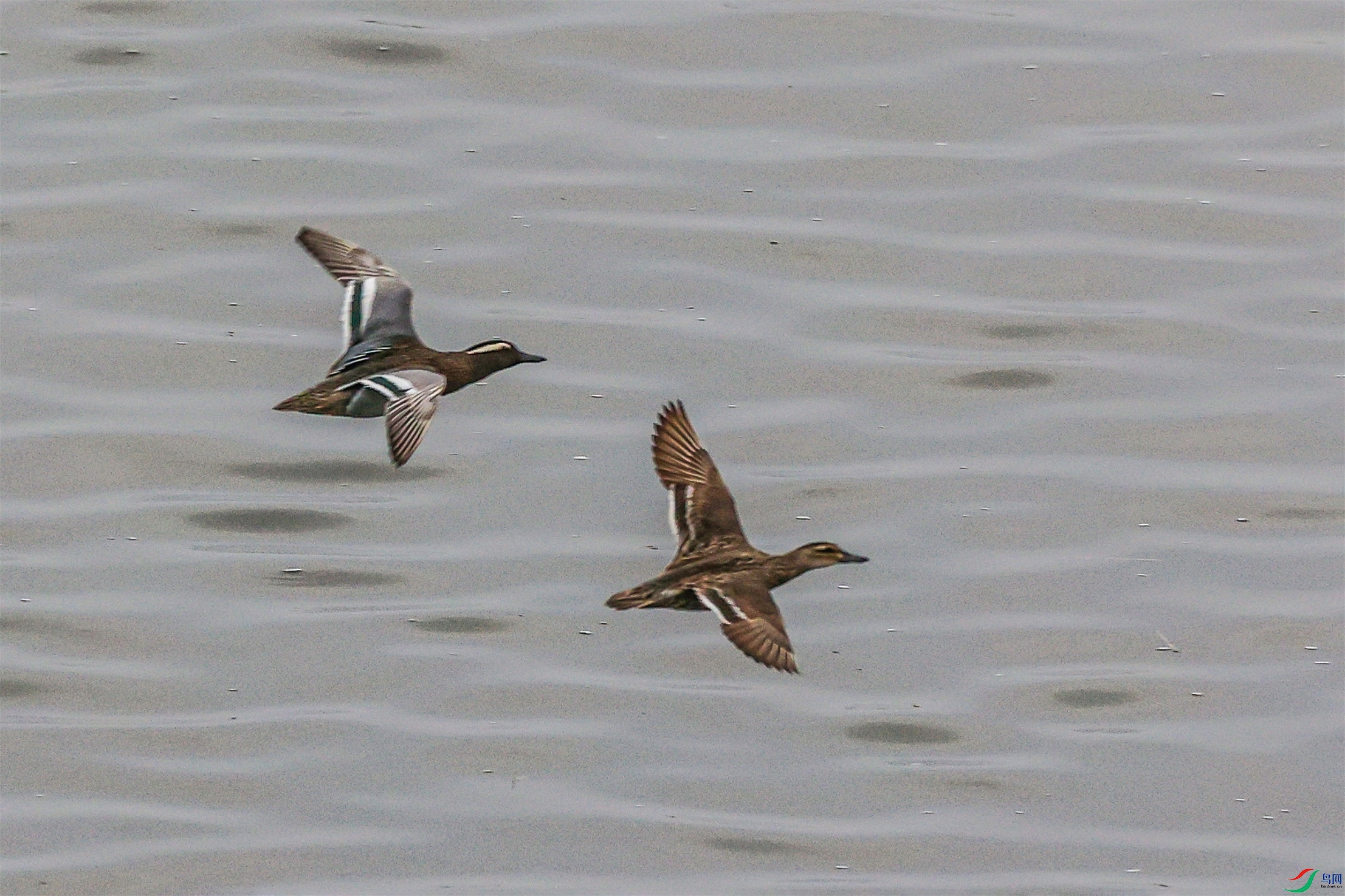 1K3A7772 ����1.jpg