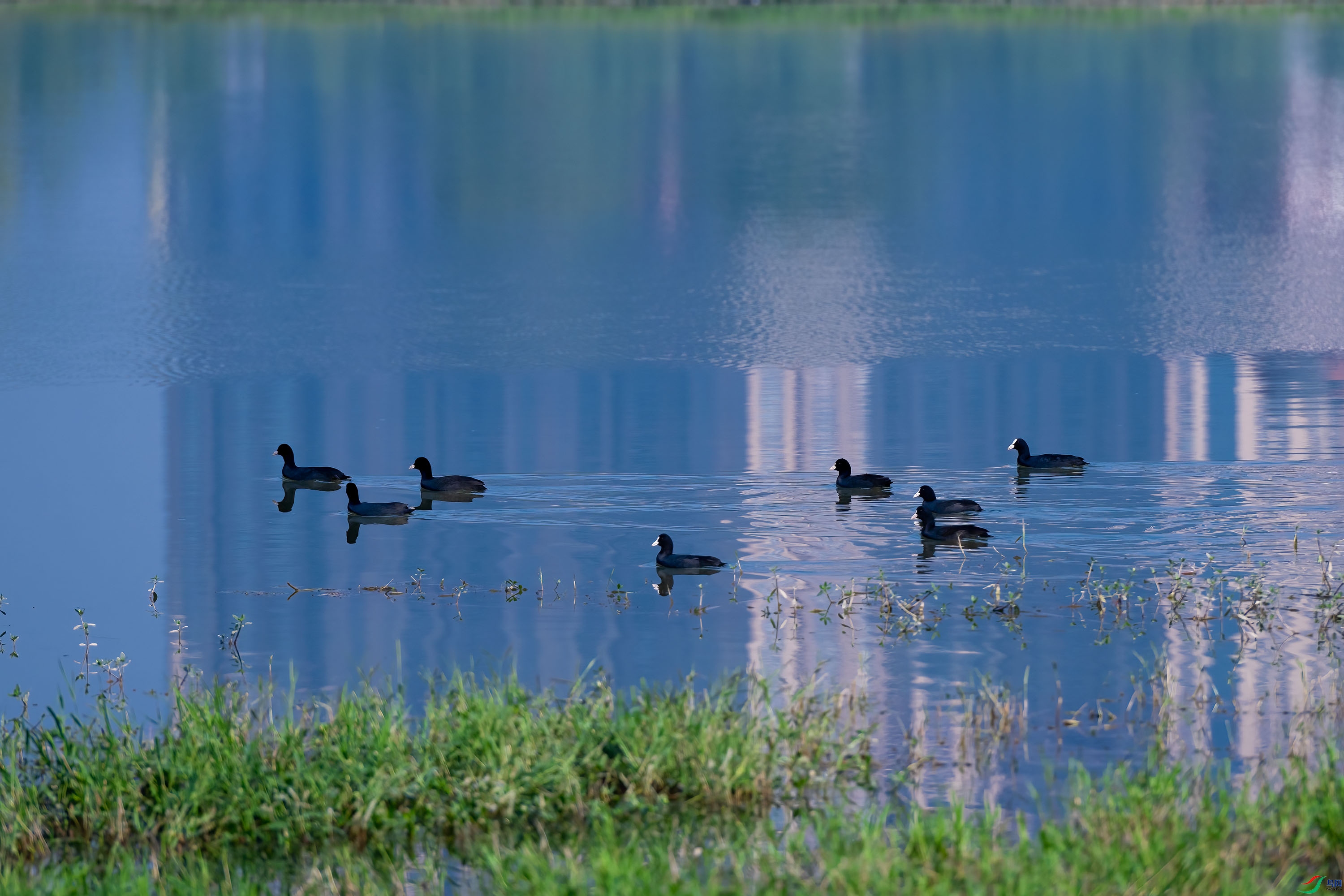DSC_2107.jpg