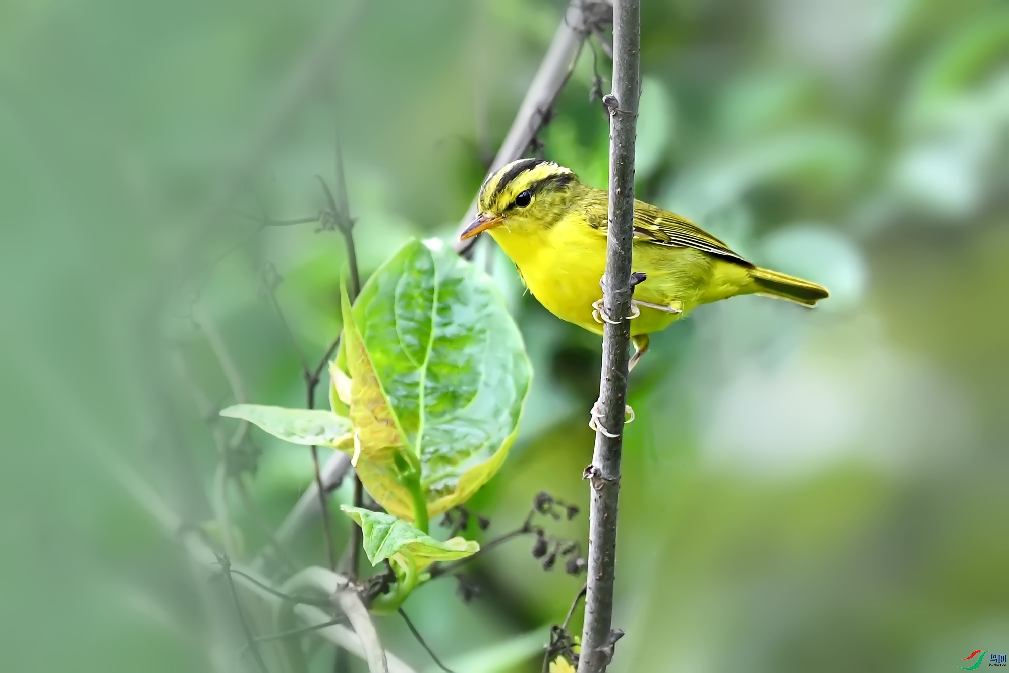 DSC_1609.jpg