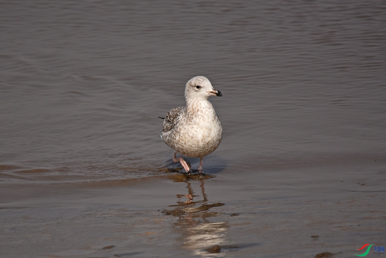 DSC_6255.jpg