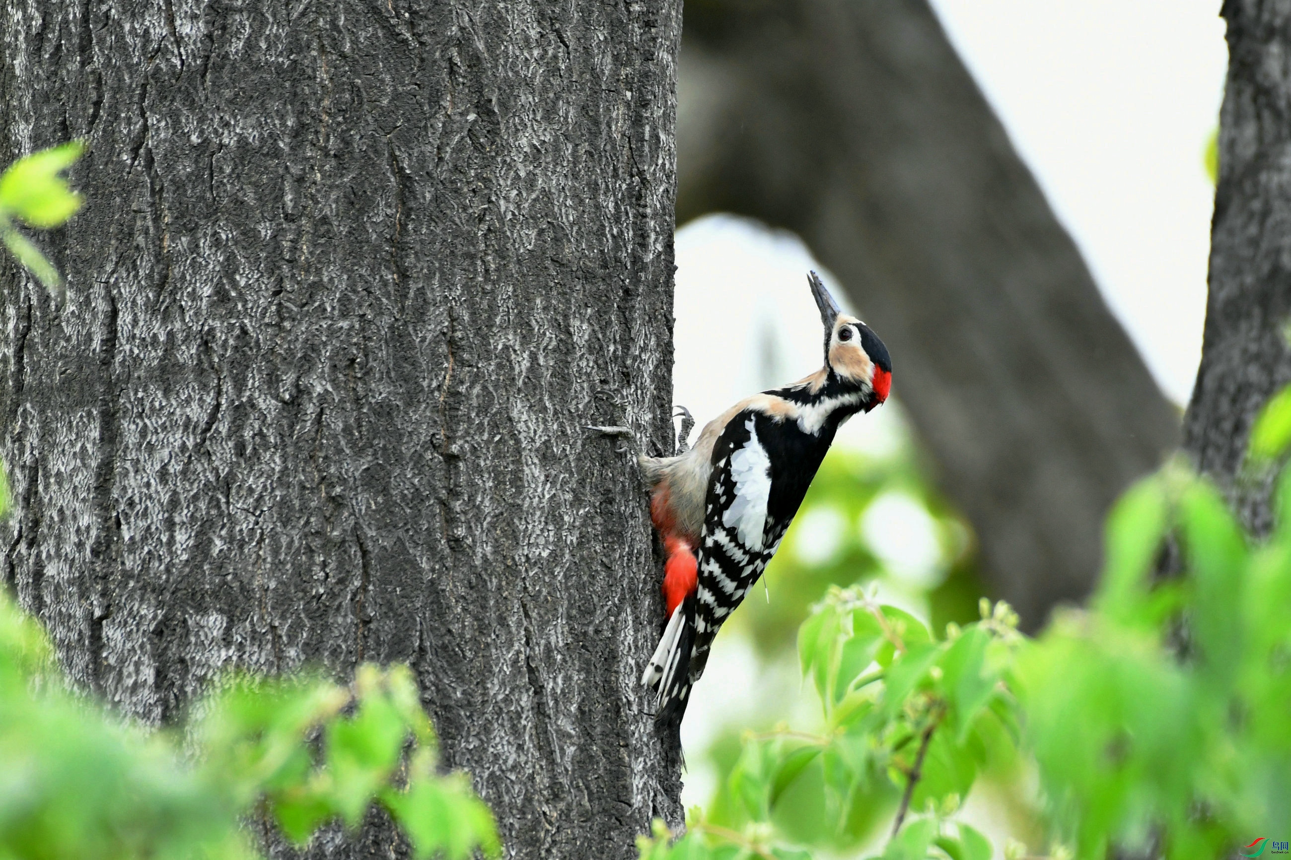 DSC_0164.JPG