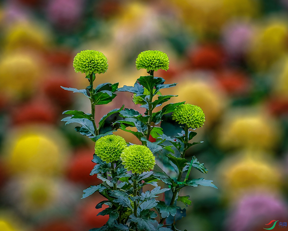 00134583A0008 ����1000k.jpg