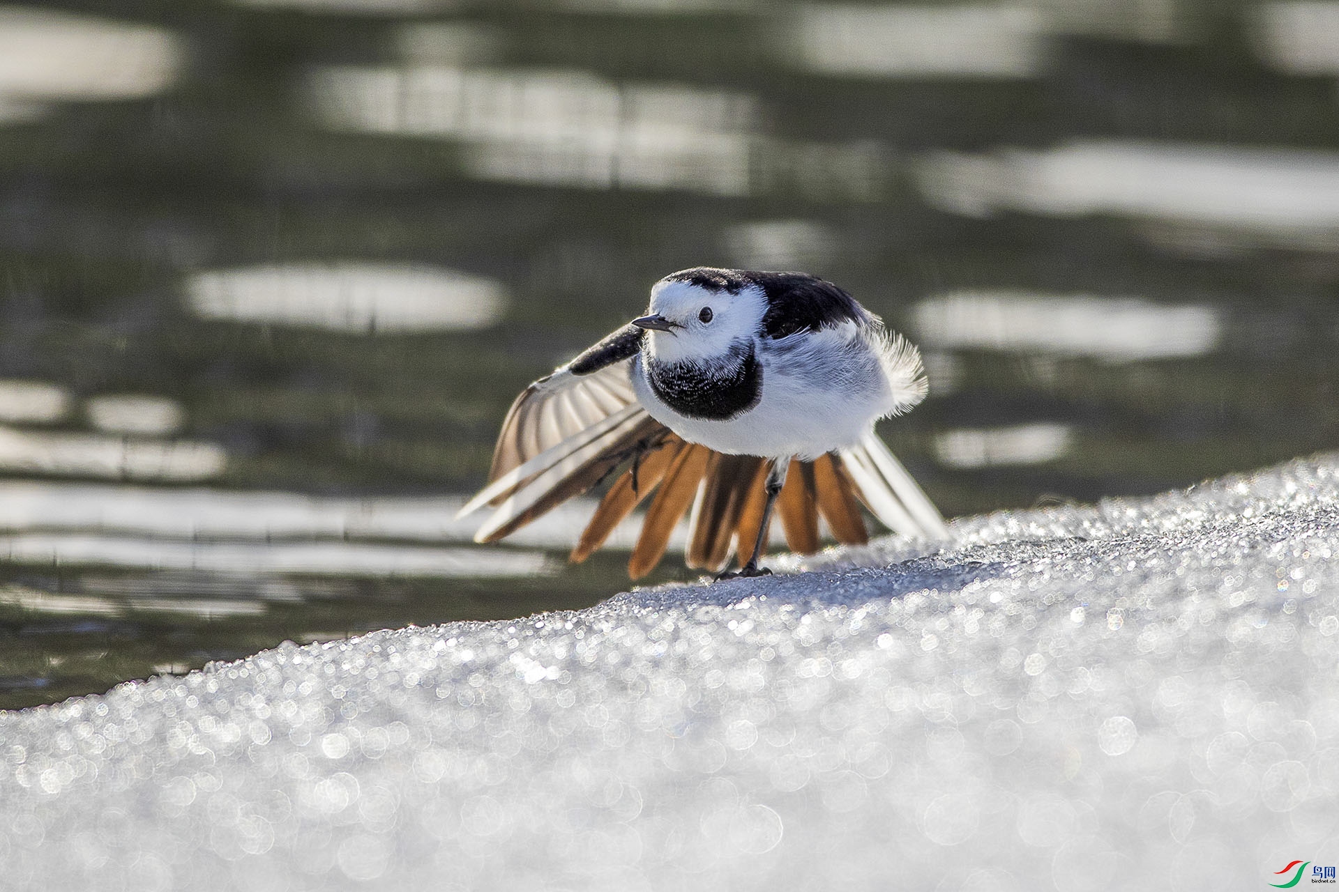 CD0I8514 ����.jpg