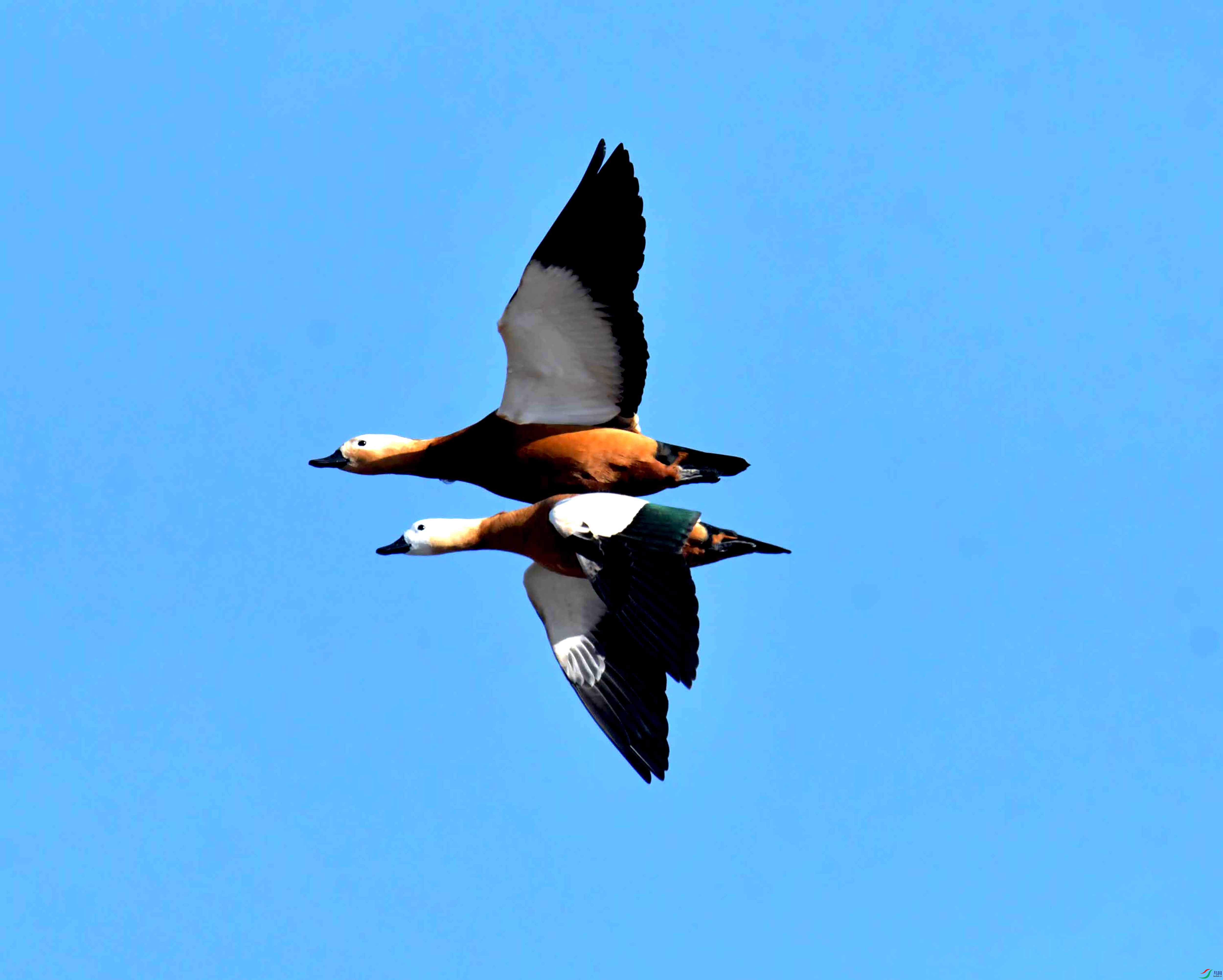 DSC_9212.JPG