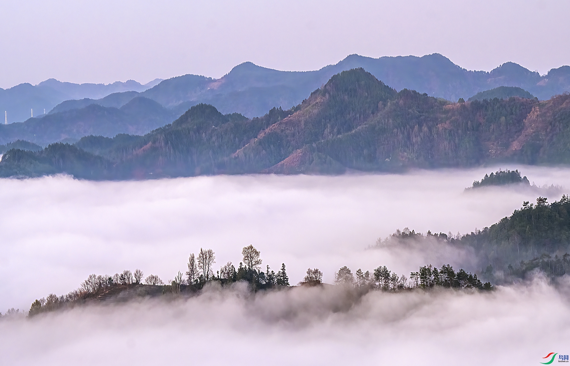 DSC_1425  - ������ɽ��.jpg