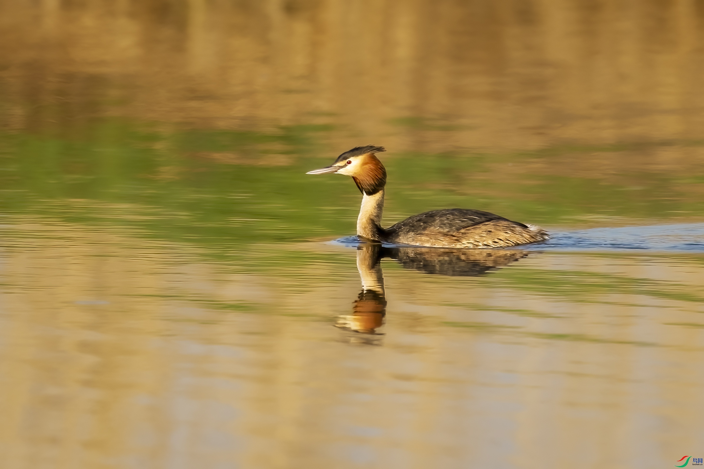 A18I4901 ����.jpg