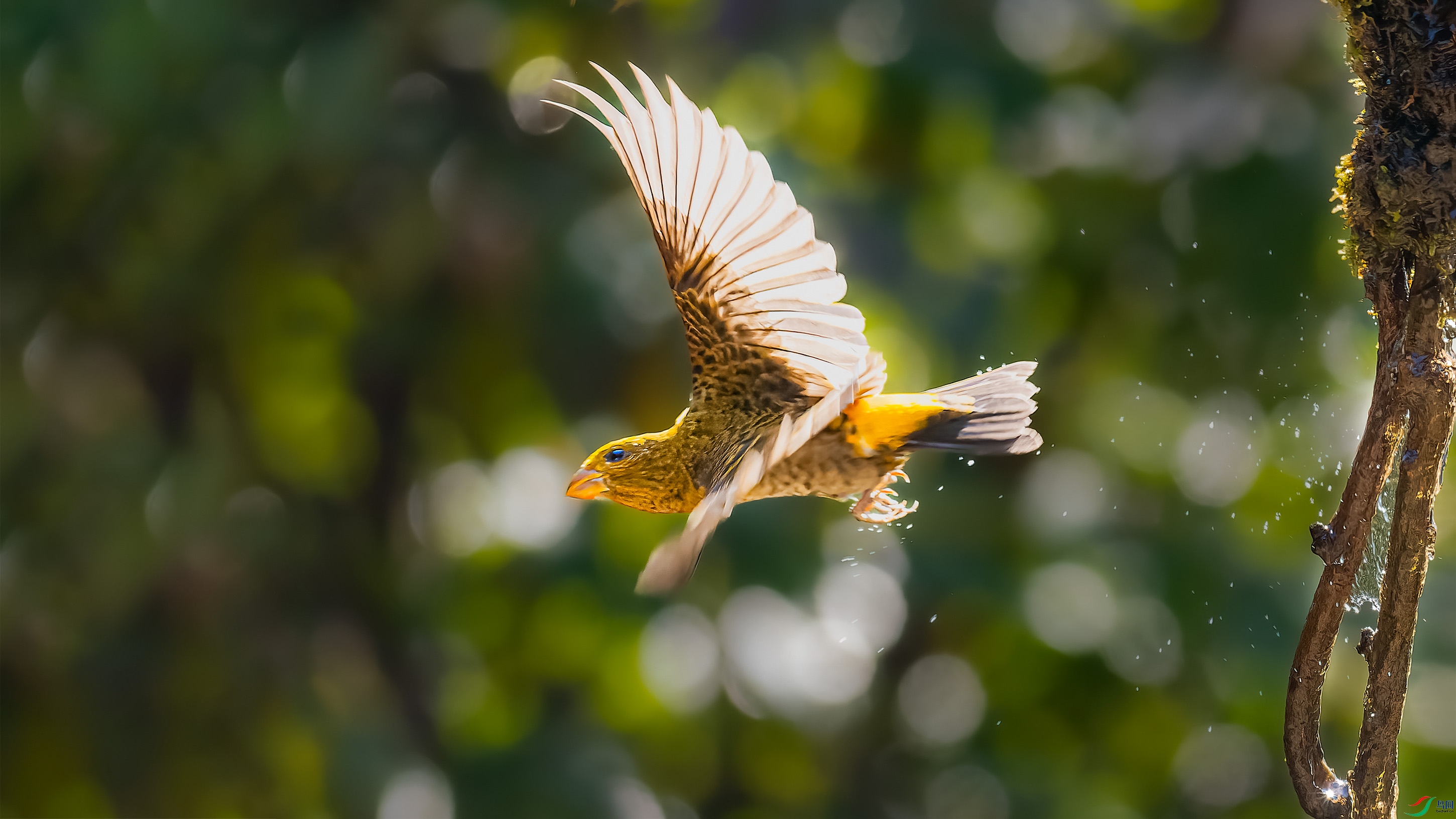 _1300967-ORF_DxO_DeepPRIME ���� 2.jpg