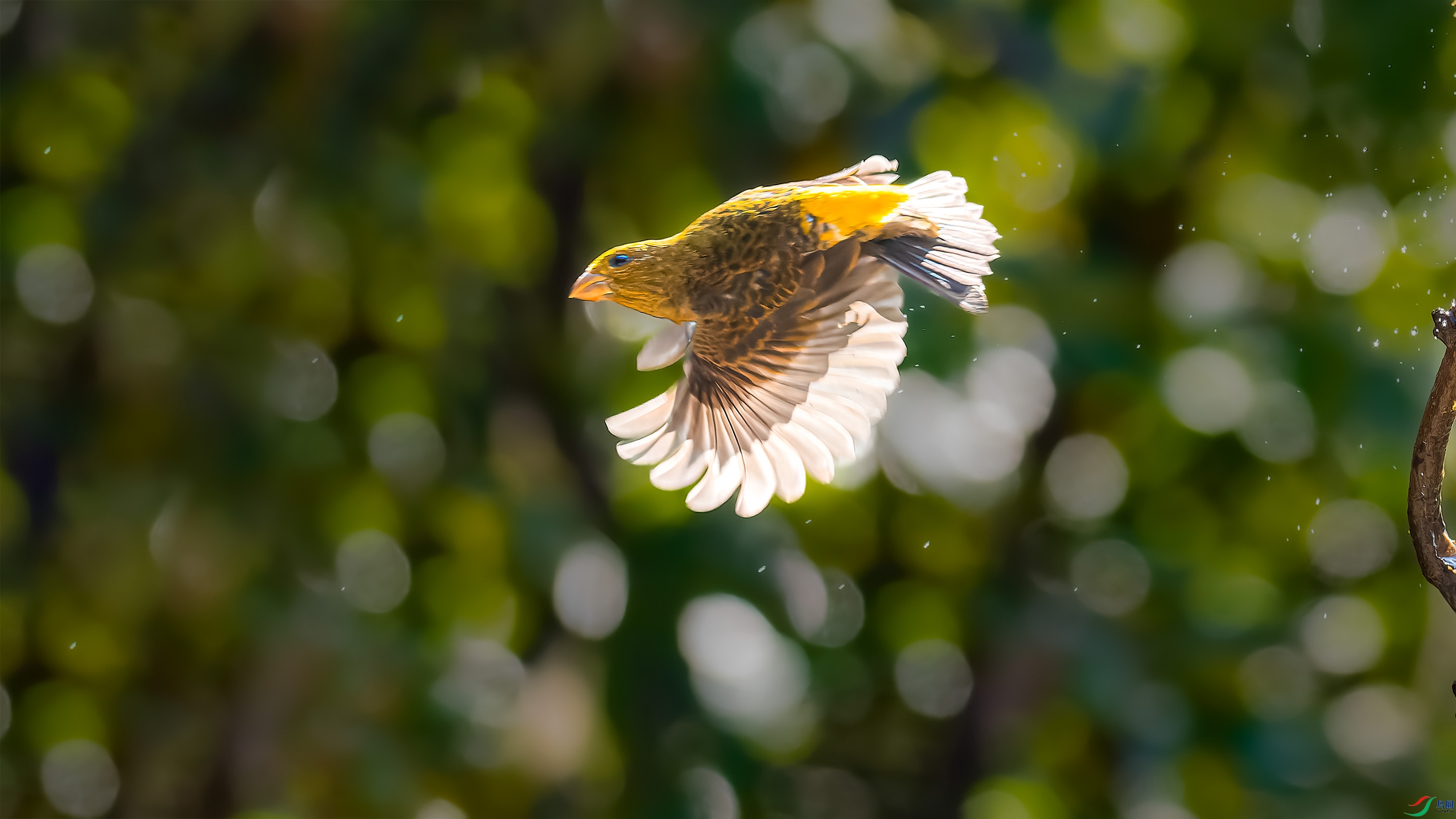 _1300968-ORF_DxO_DeepPRIME ���� 2.jpg