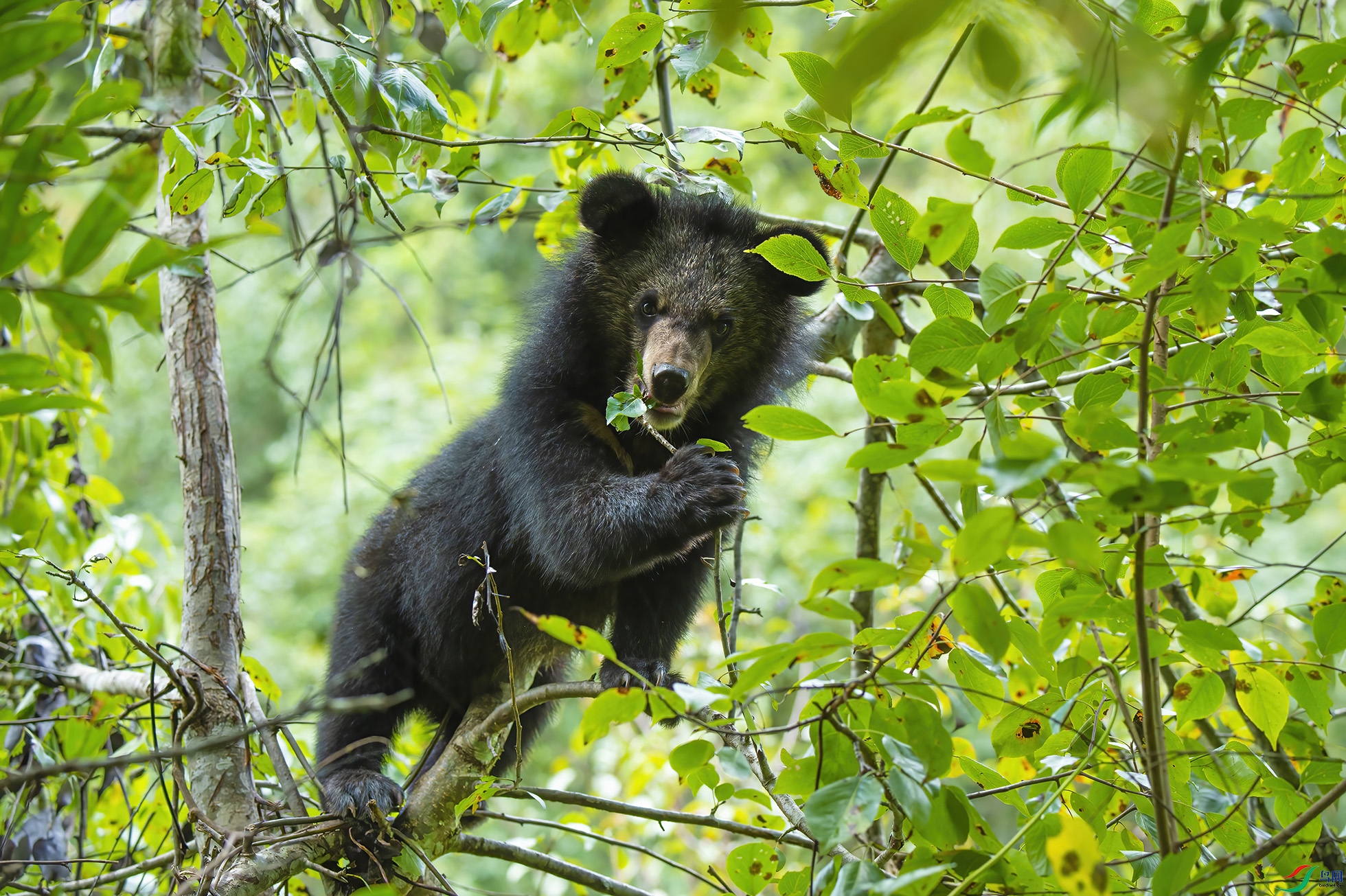 _DSC4564 �ܰ������� ����22 ����.jpg