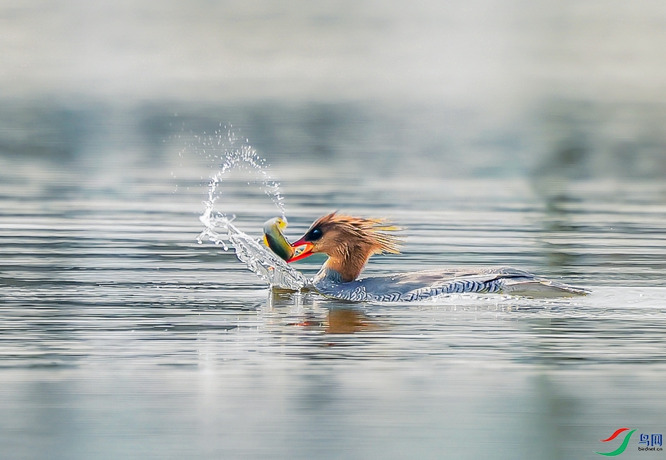 DSC03322 ����.jpg