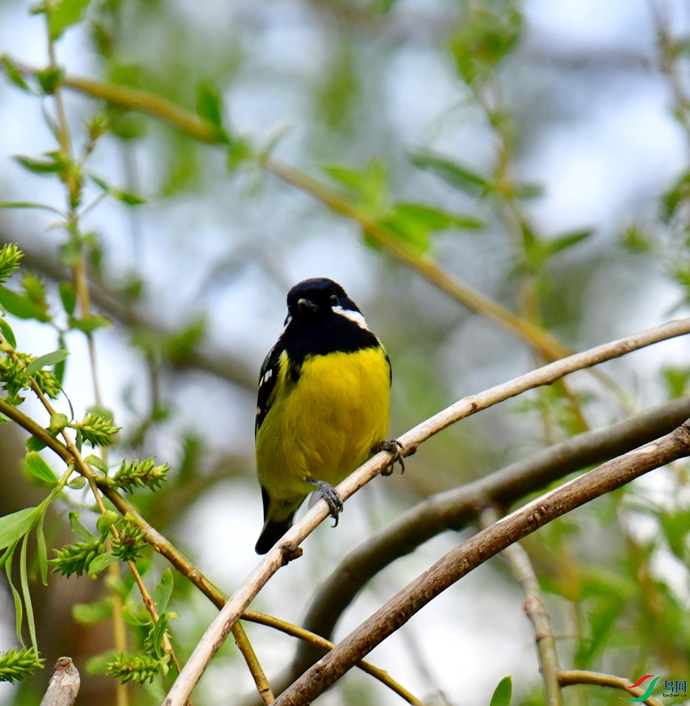DSC_1634.jpg