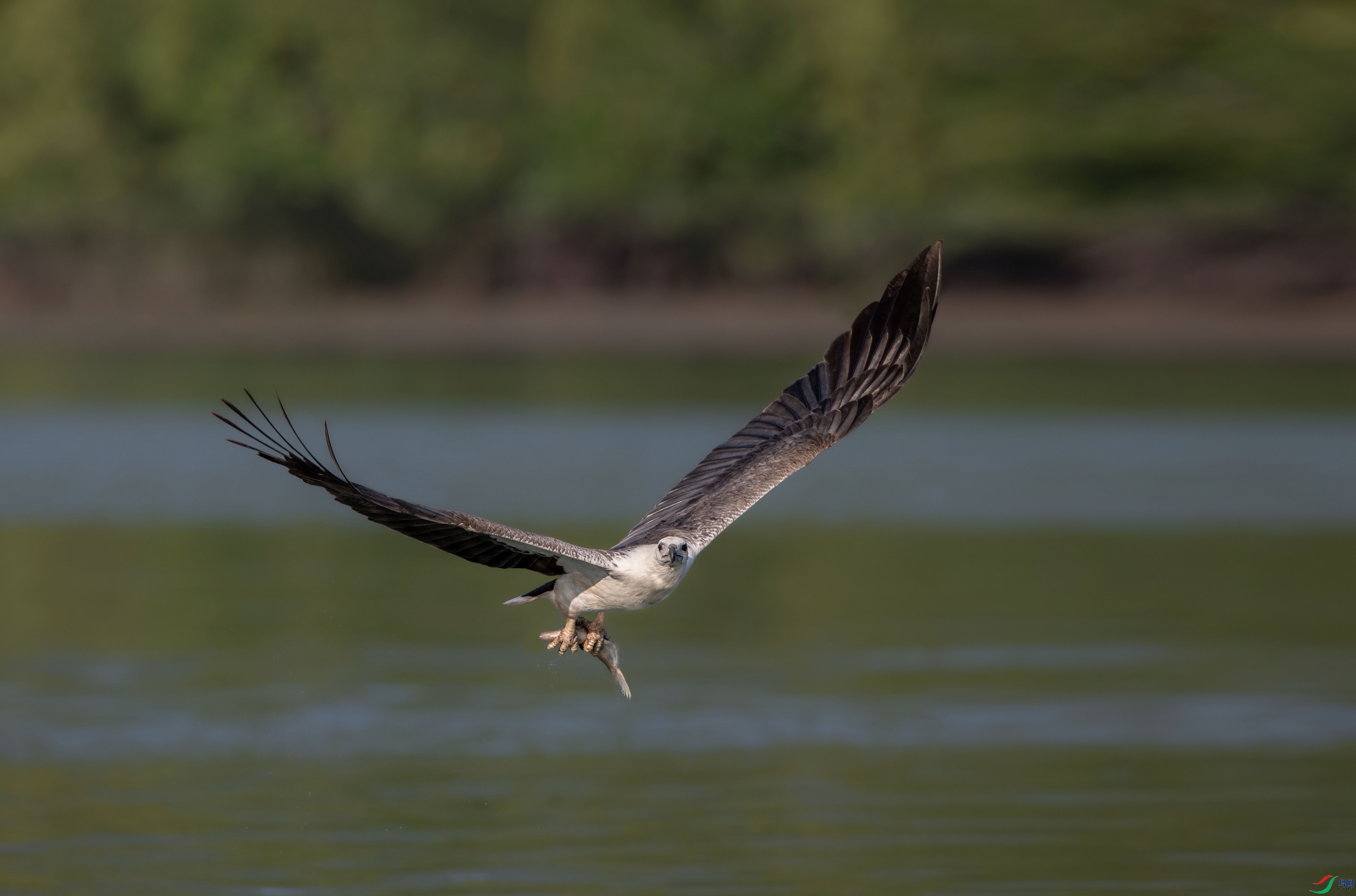 DSC_8944.jpg