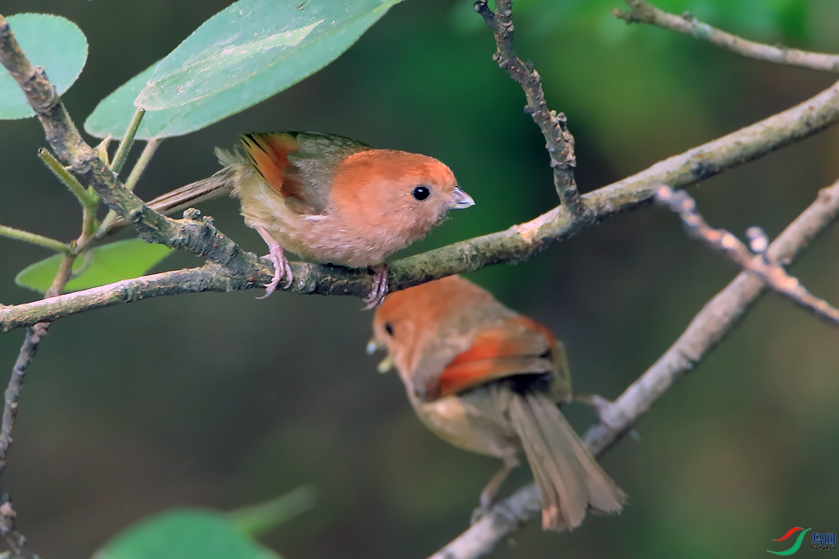2F4A0746-.JPG