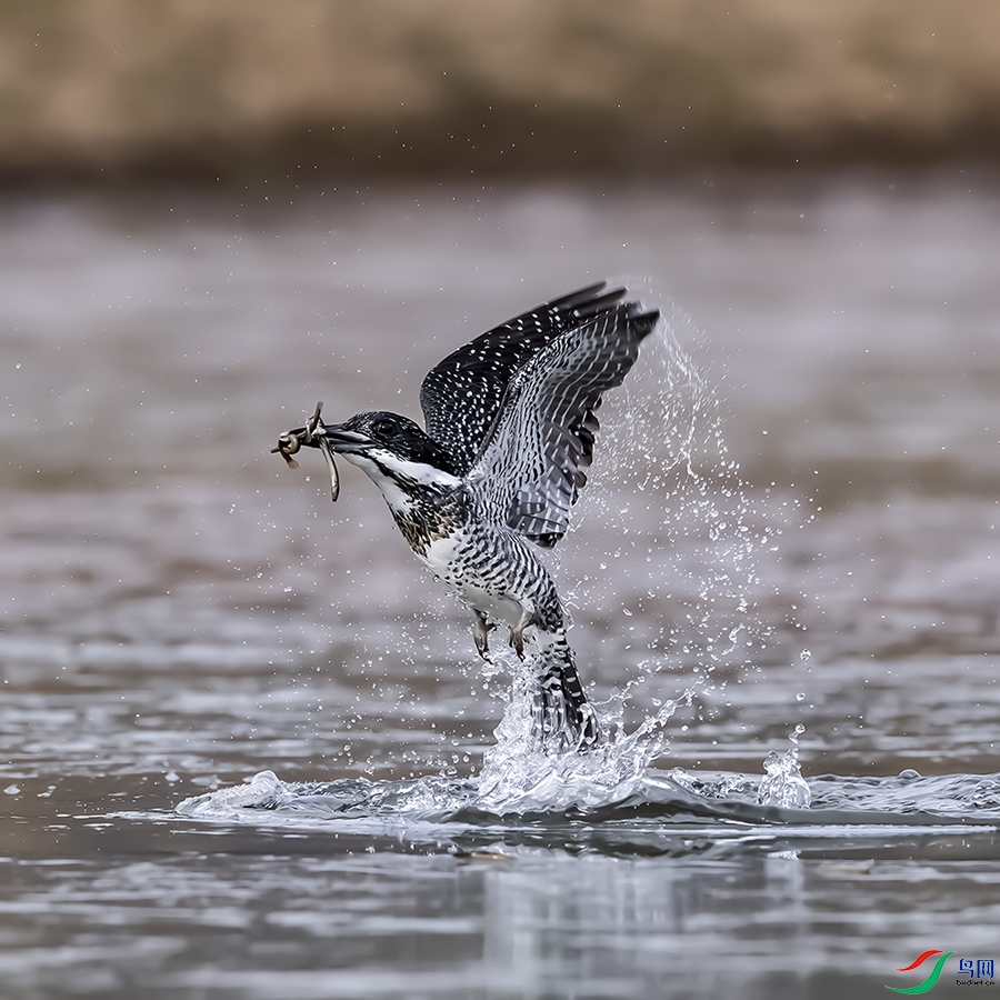 A46I3089 ����.psd2 ����.psd22.jpg