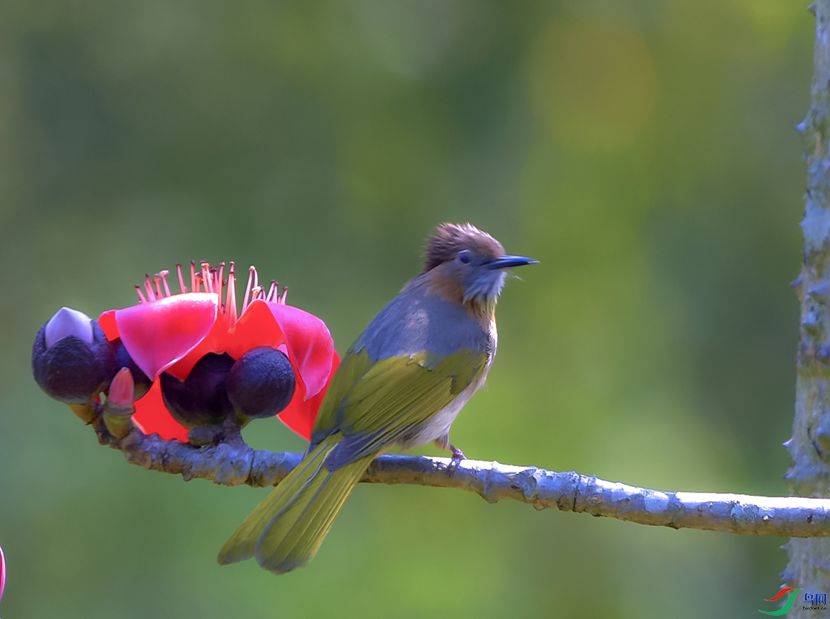 DSC_1357.JPG