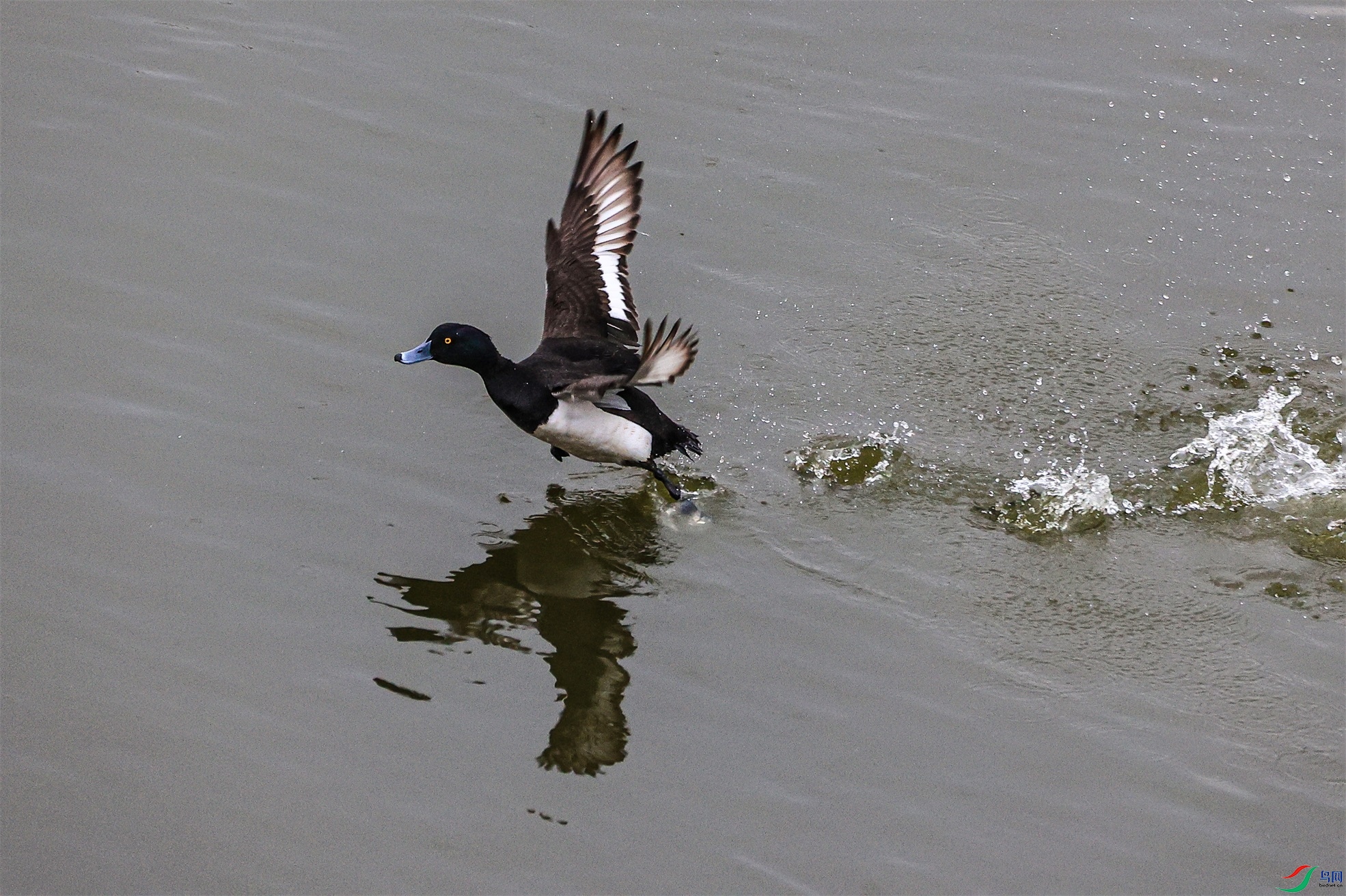 1K3A8250 ����1.jpg