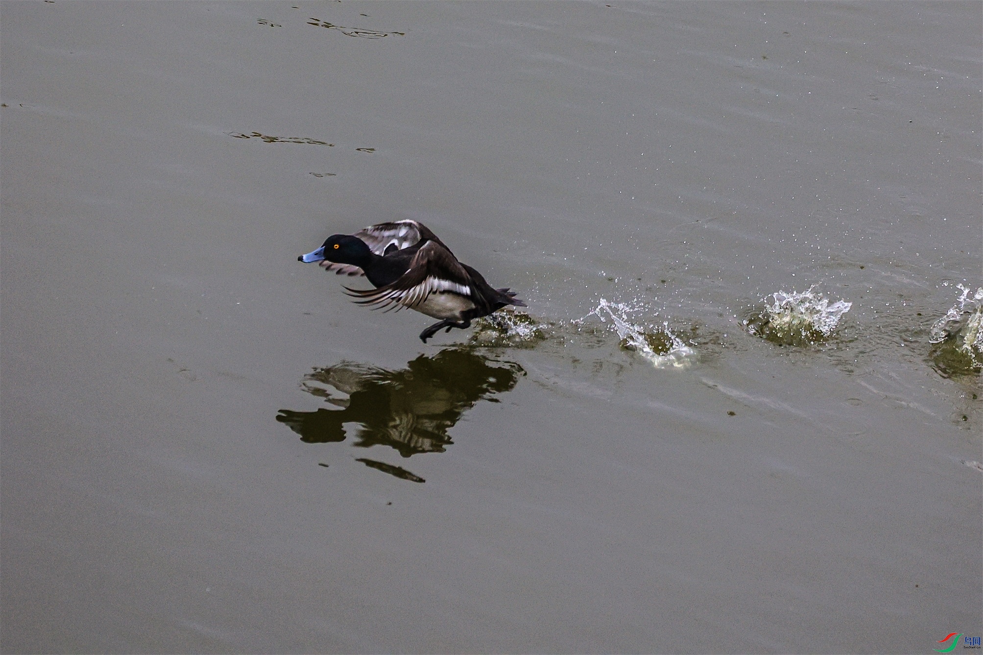 1K3A8254 ����1.jpg