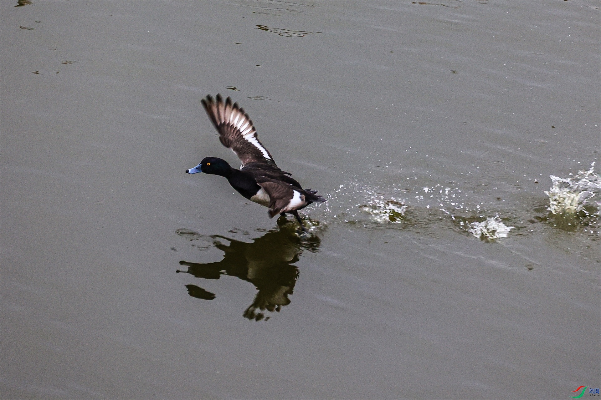 1K3A8255 ����1.jpg