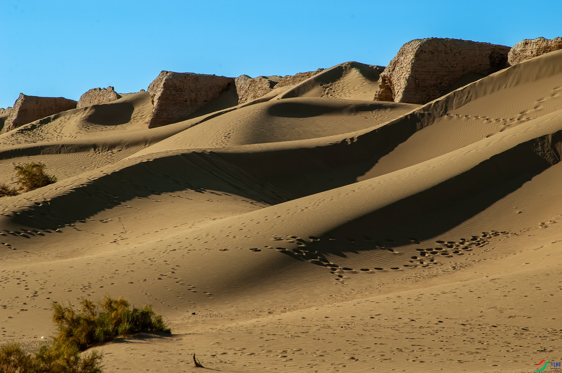 DSC_0296����