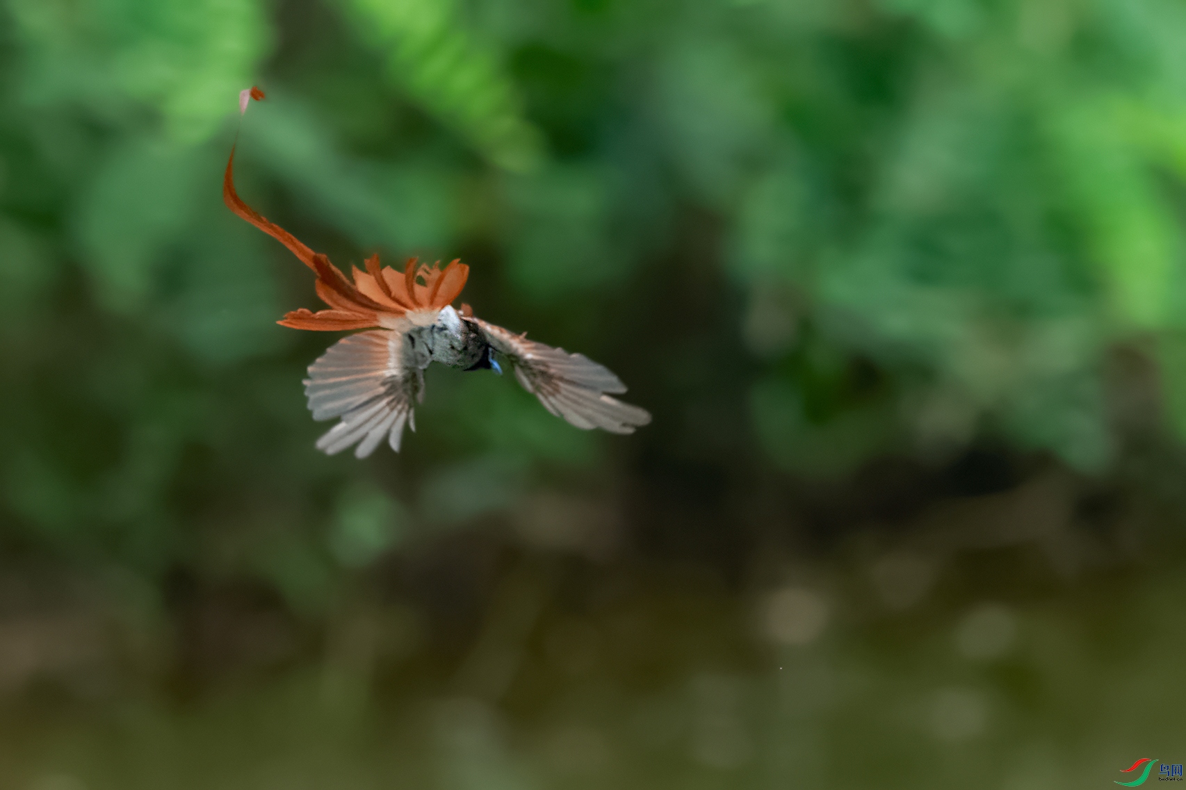 DSC_3540_DxOa.jpg