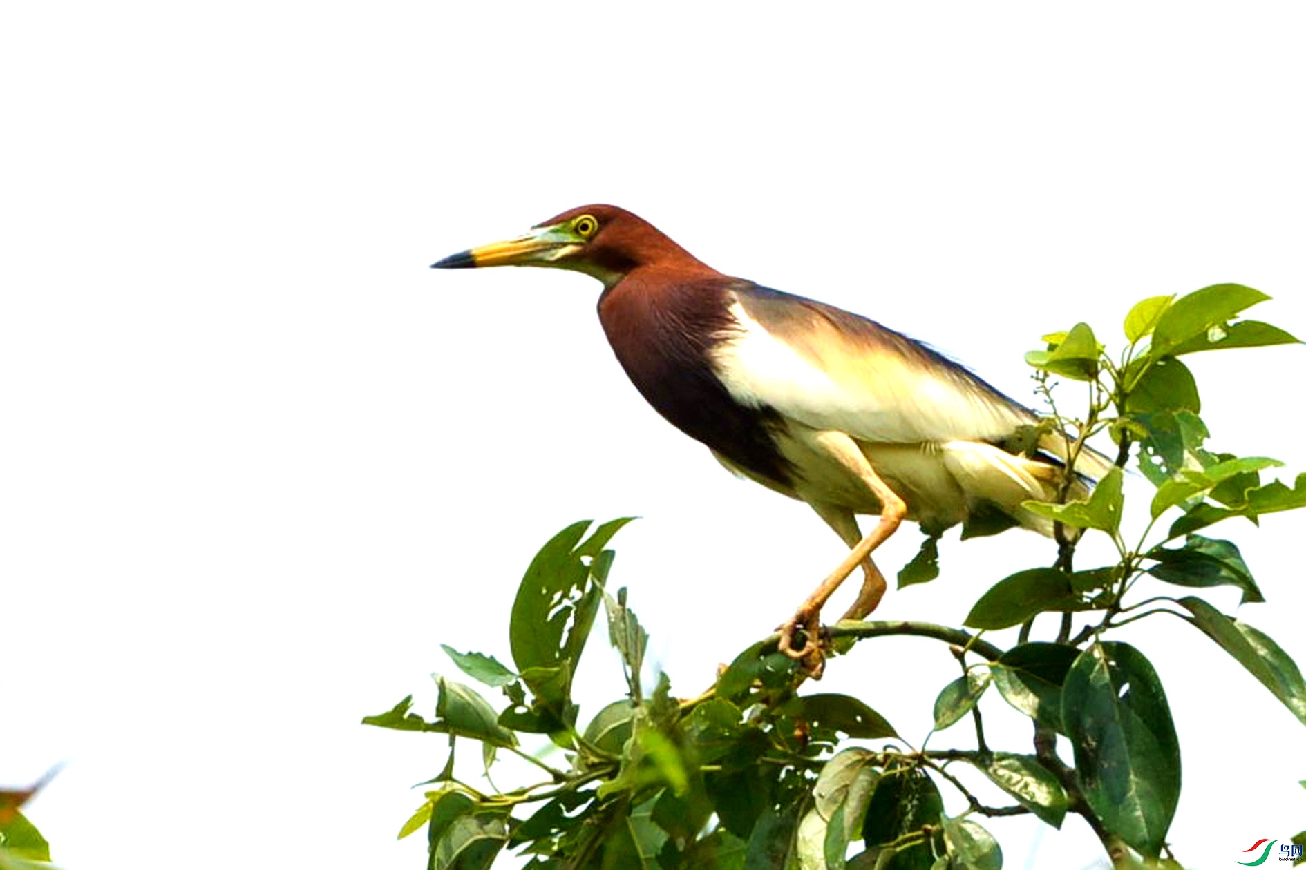 DSC_3427.JPG