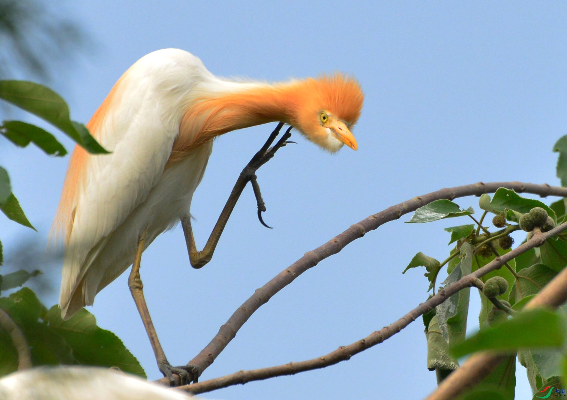 DSC_4331.JPG