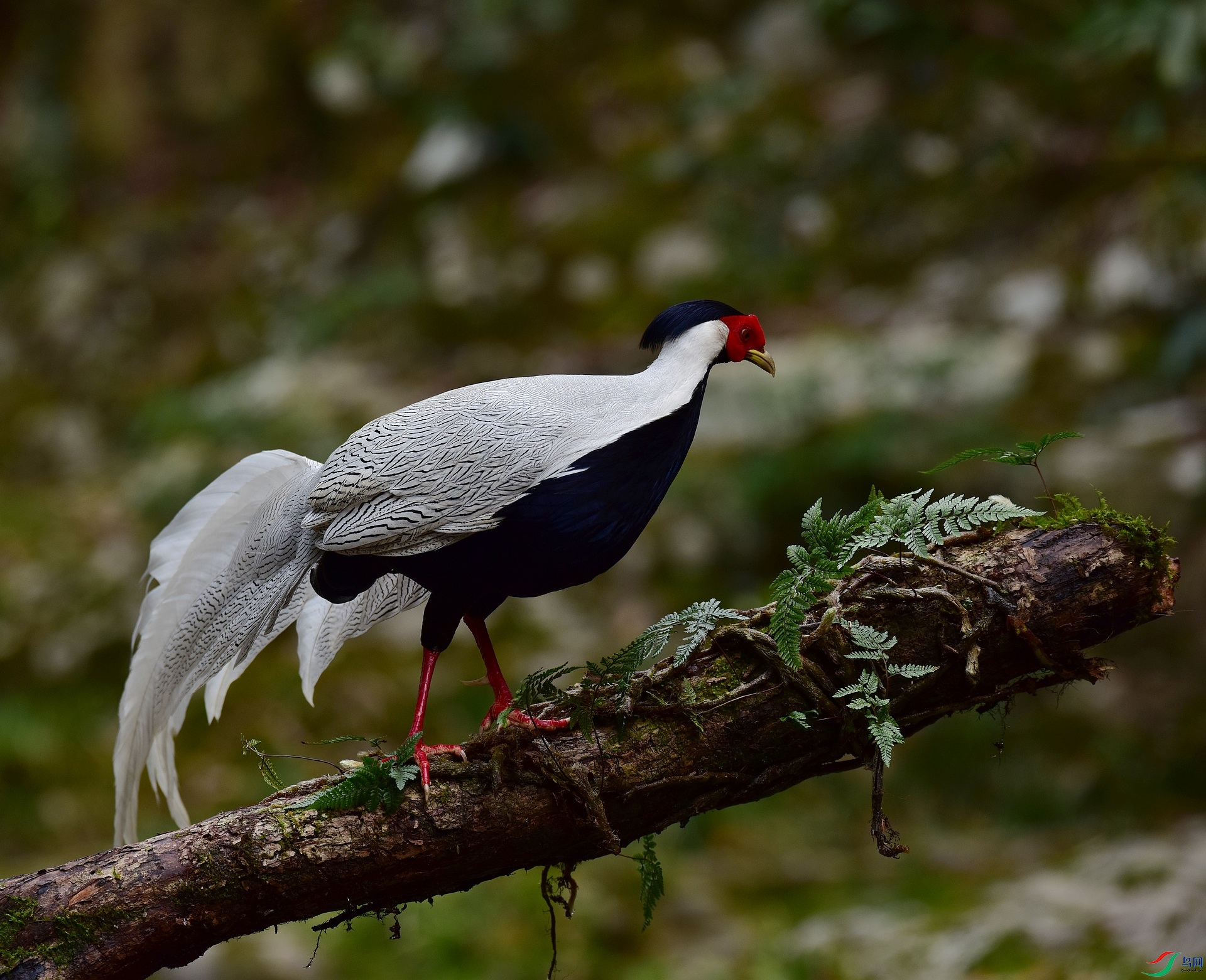 D8I_3557.jpg