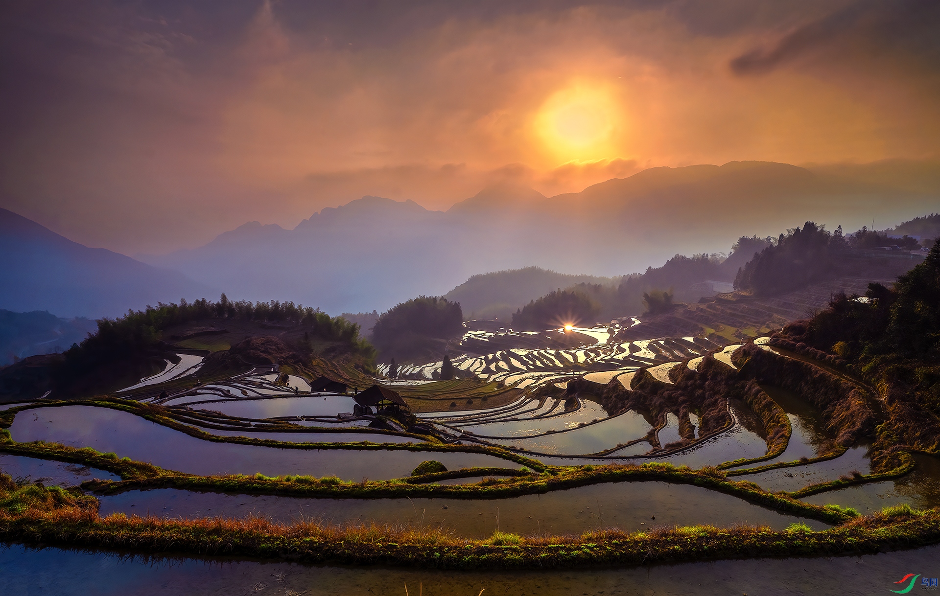 DSC_1346 - �ƺ������ճ�.jpg