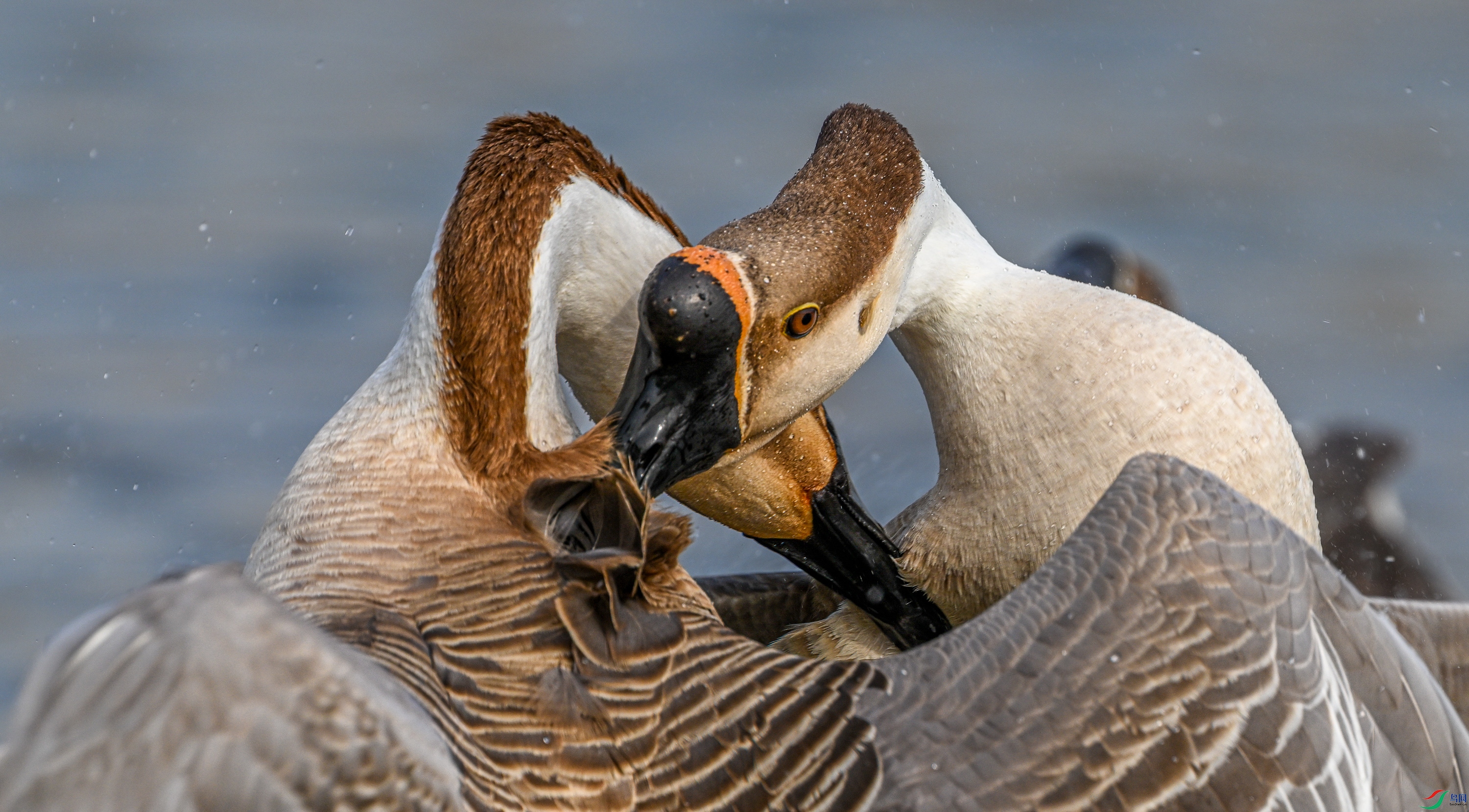 DSC_1617�޸�.JPG