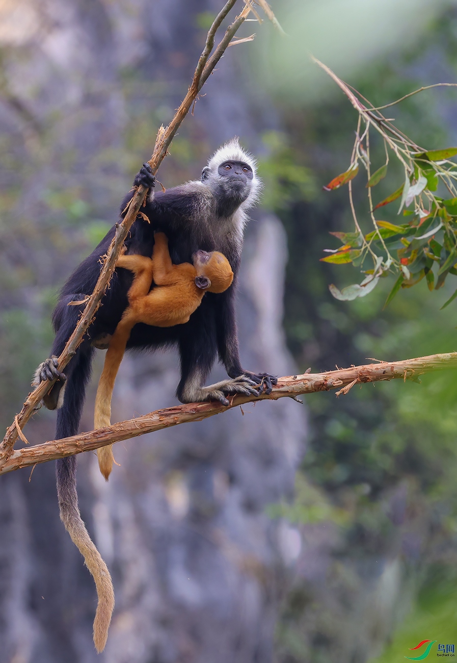 �Դ�����