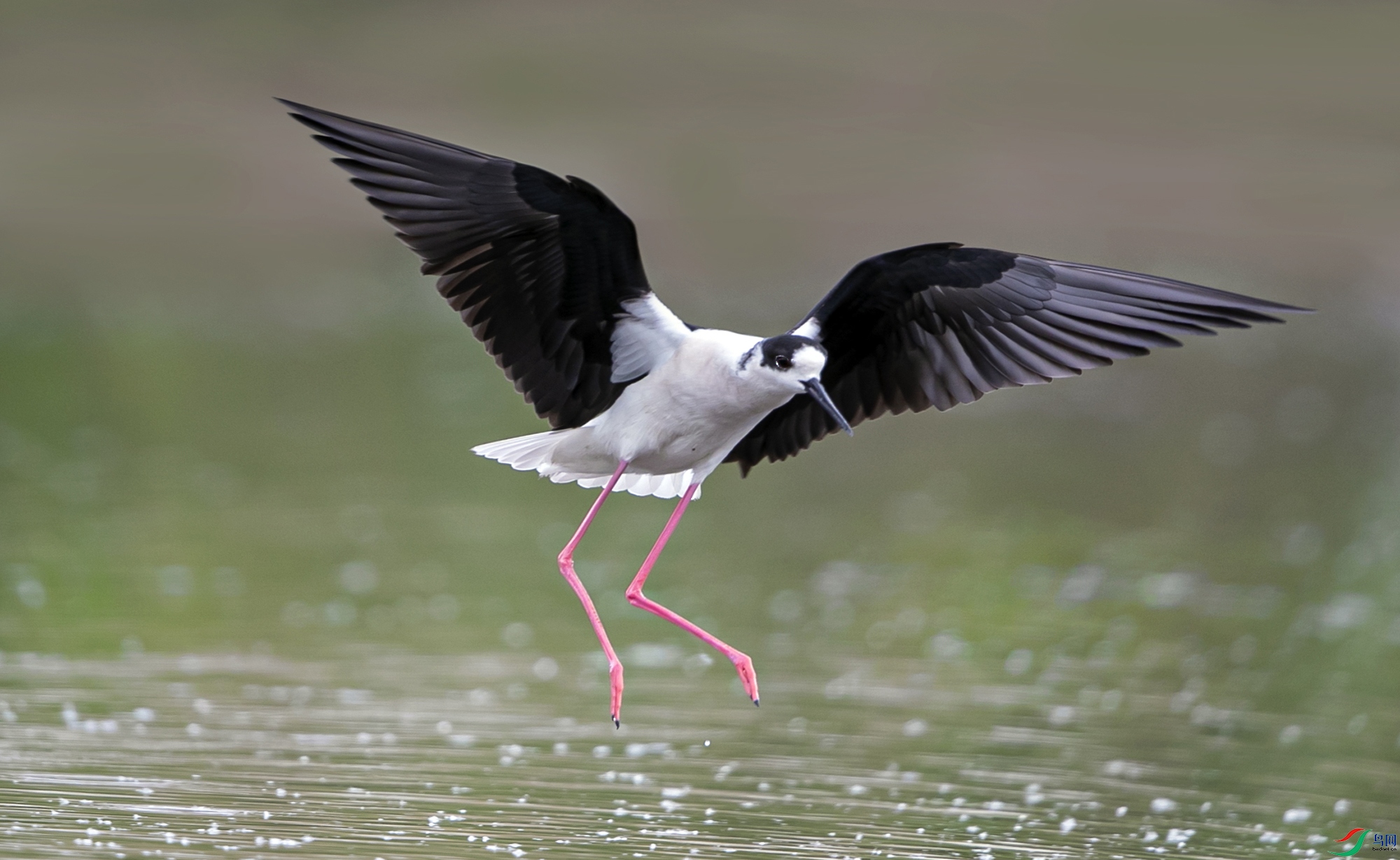 AW4I9942 ����.jpg