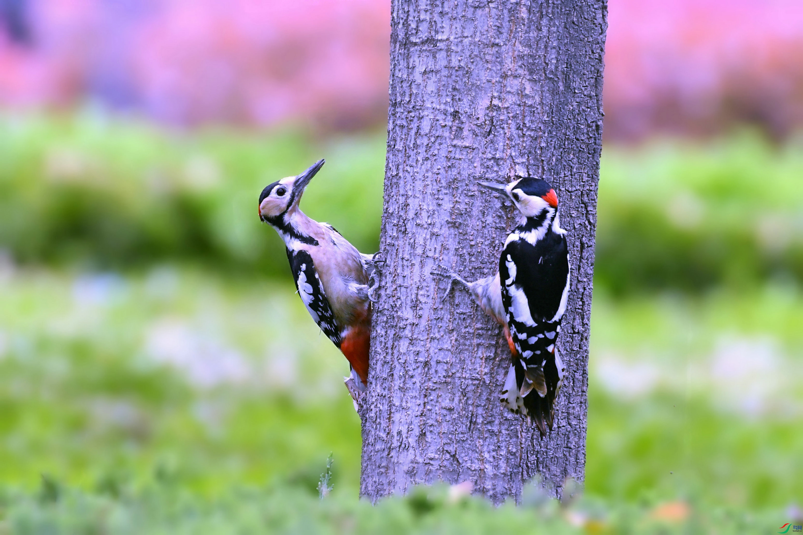 DSC_0292.JPG