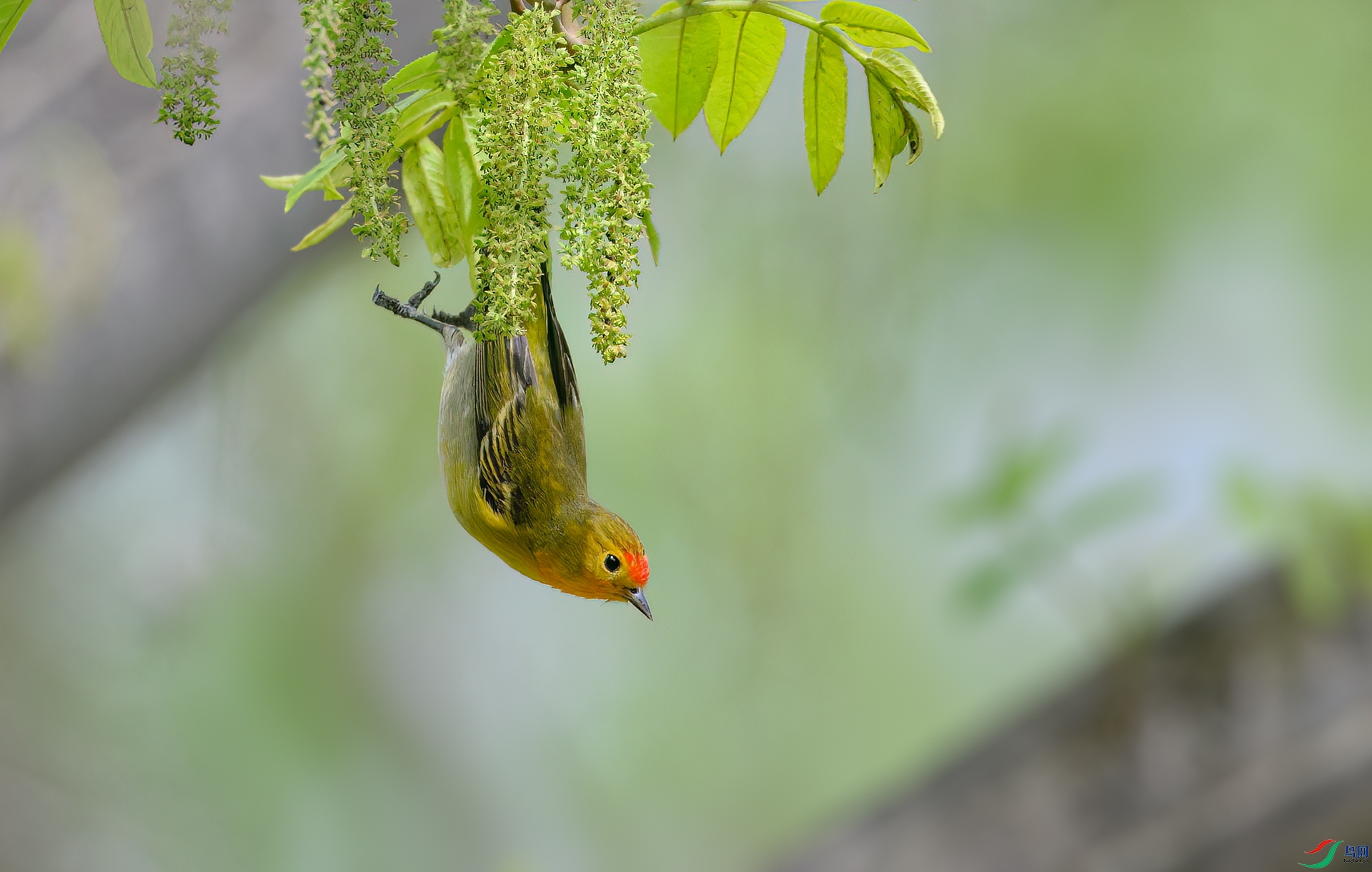 _DSC1136_DxO.jpg