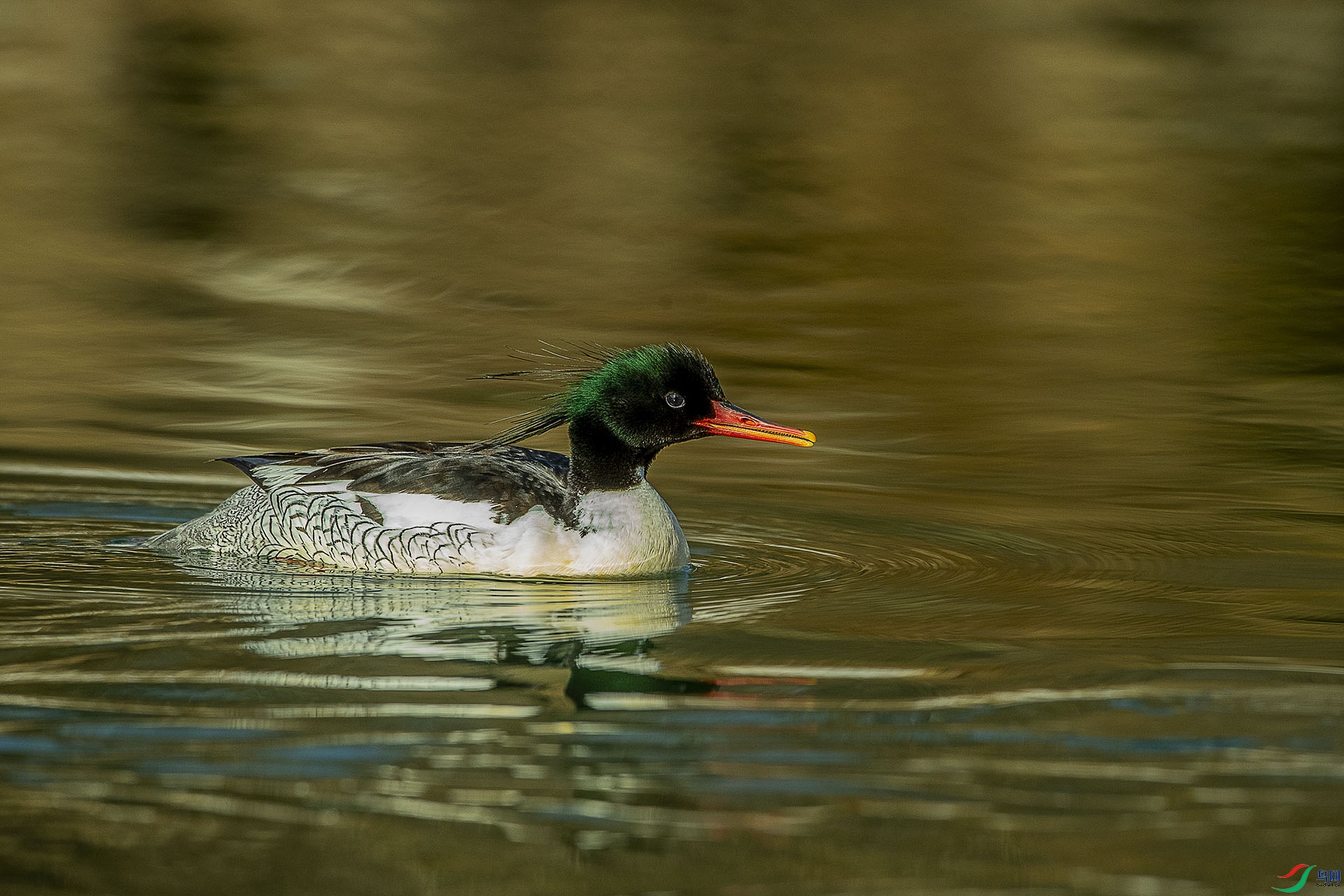 CD0I3522 ����2.jpg