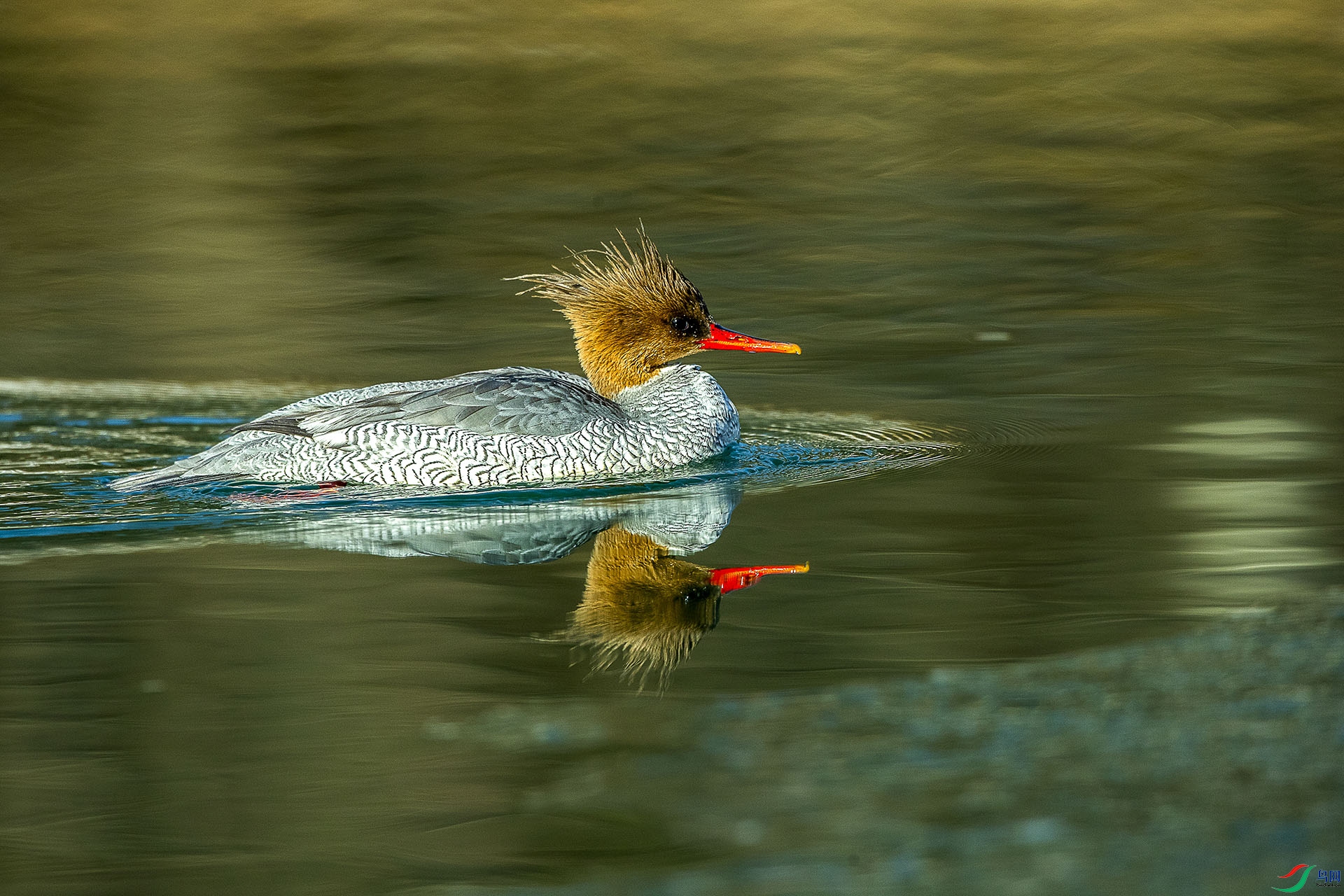 CD0I3512 ����2.jpg