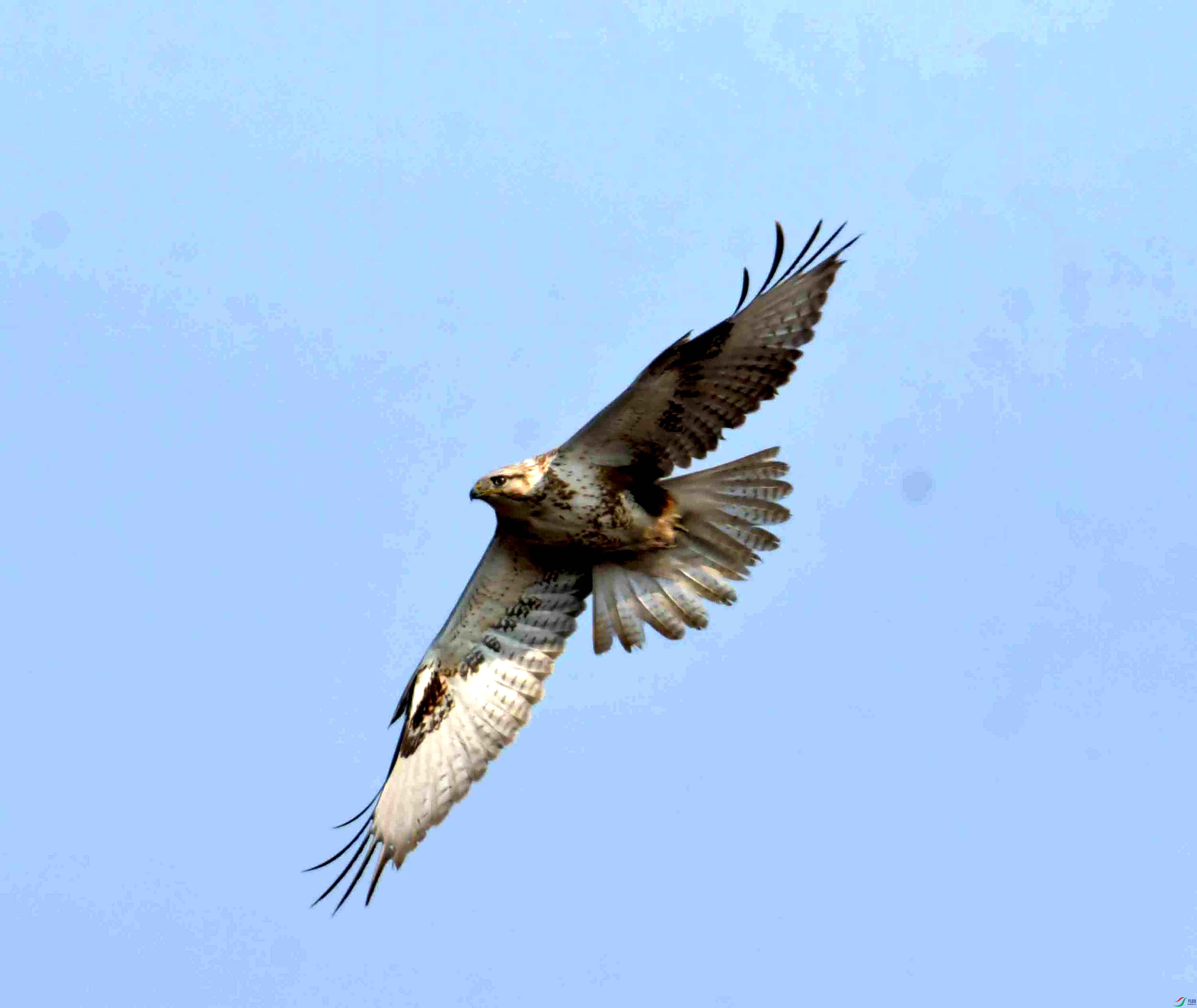 DSC_0510.JPG