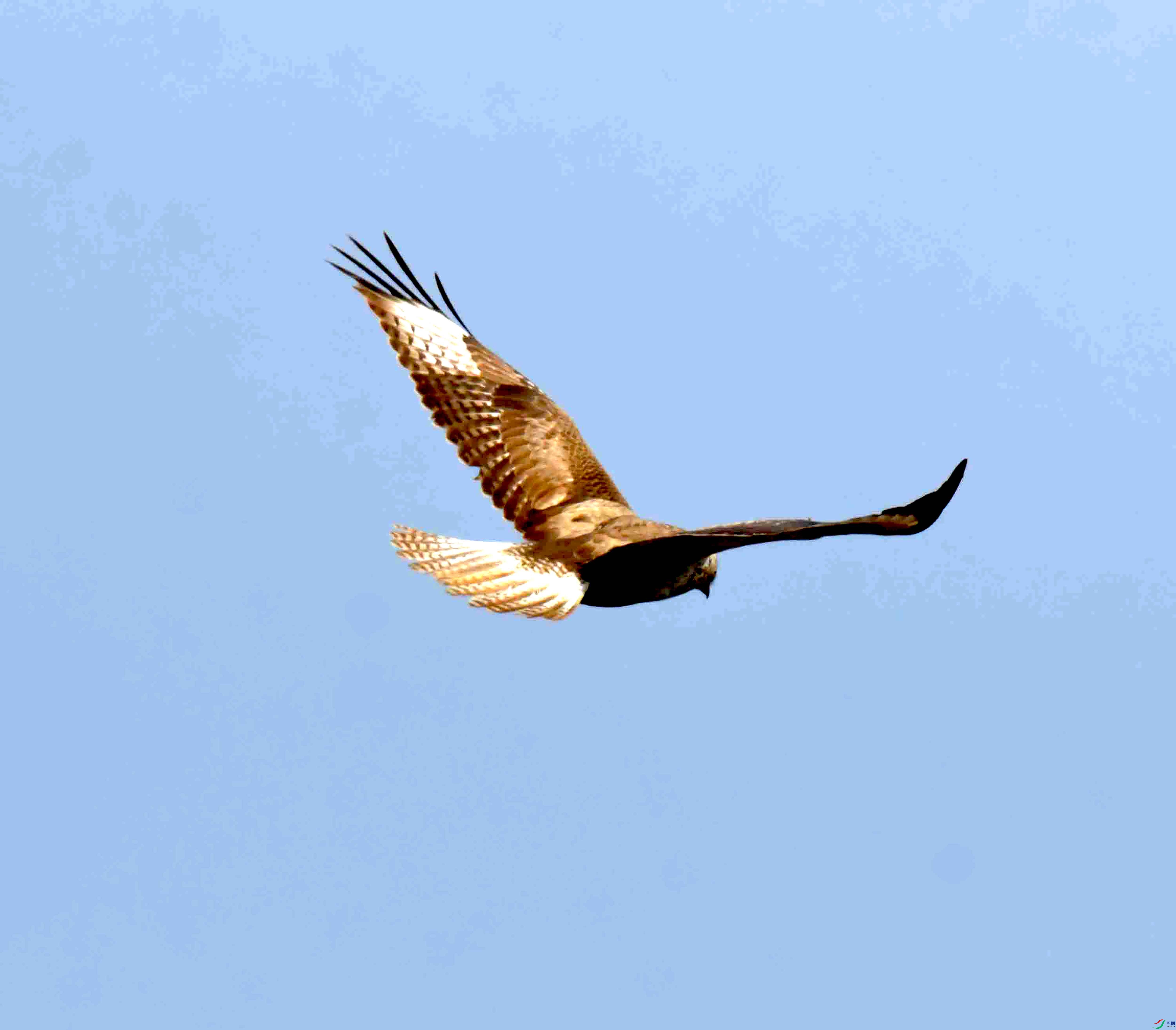 DSC_0518.JPG