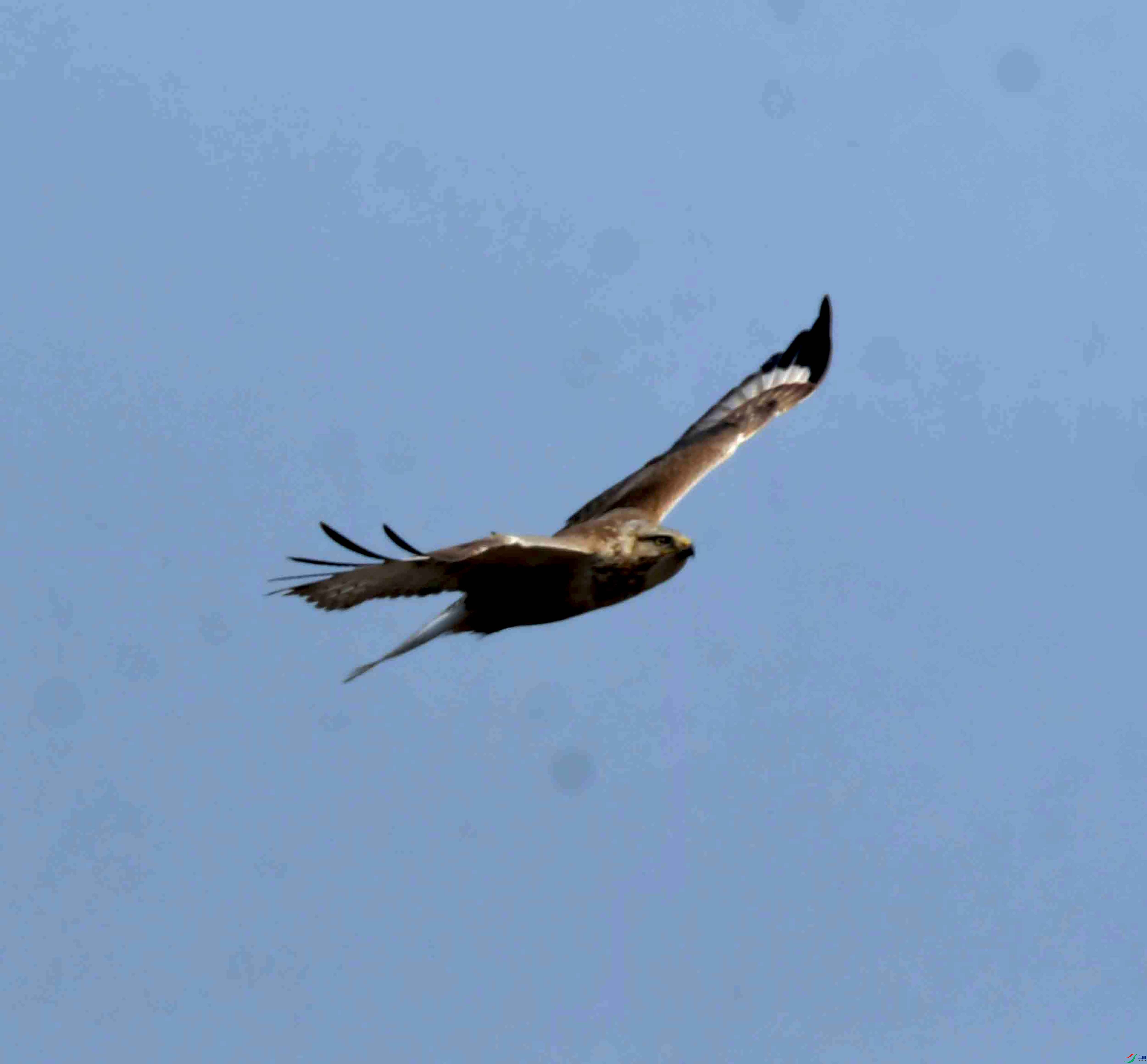 DSC_0522.JPG