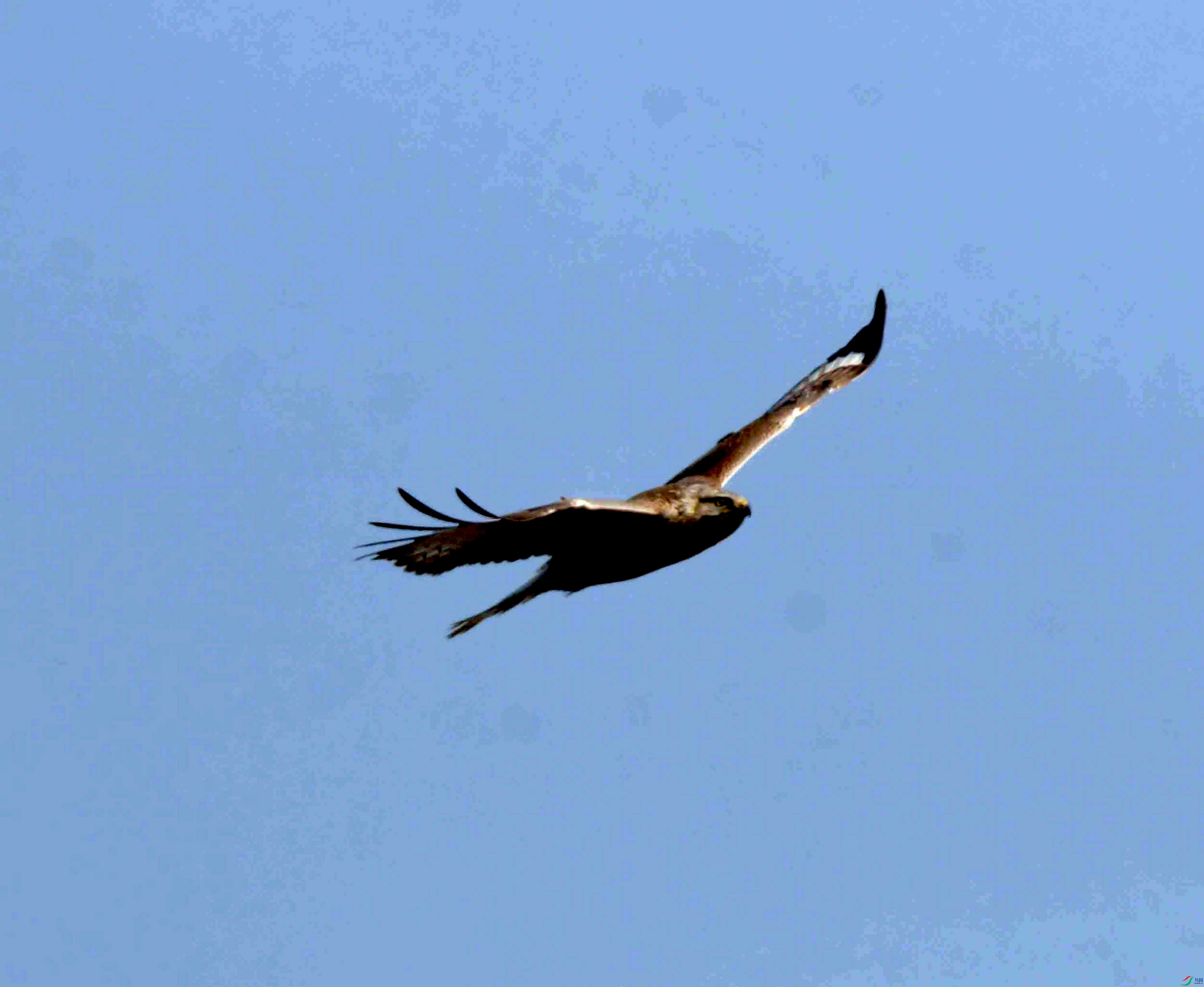 DSC_0523.JPG