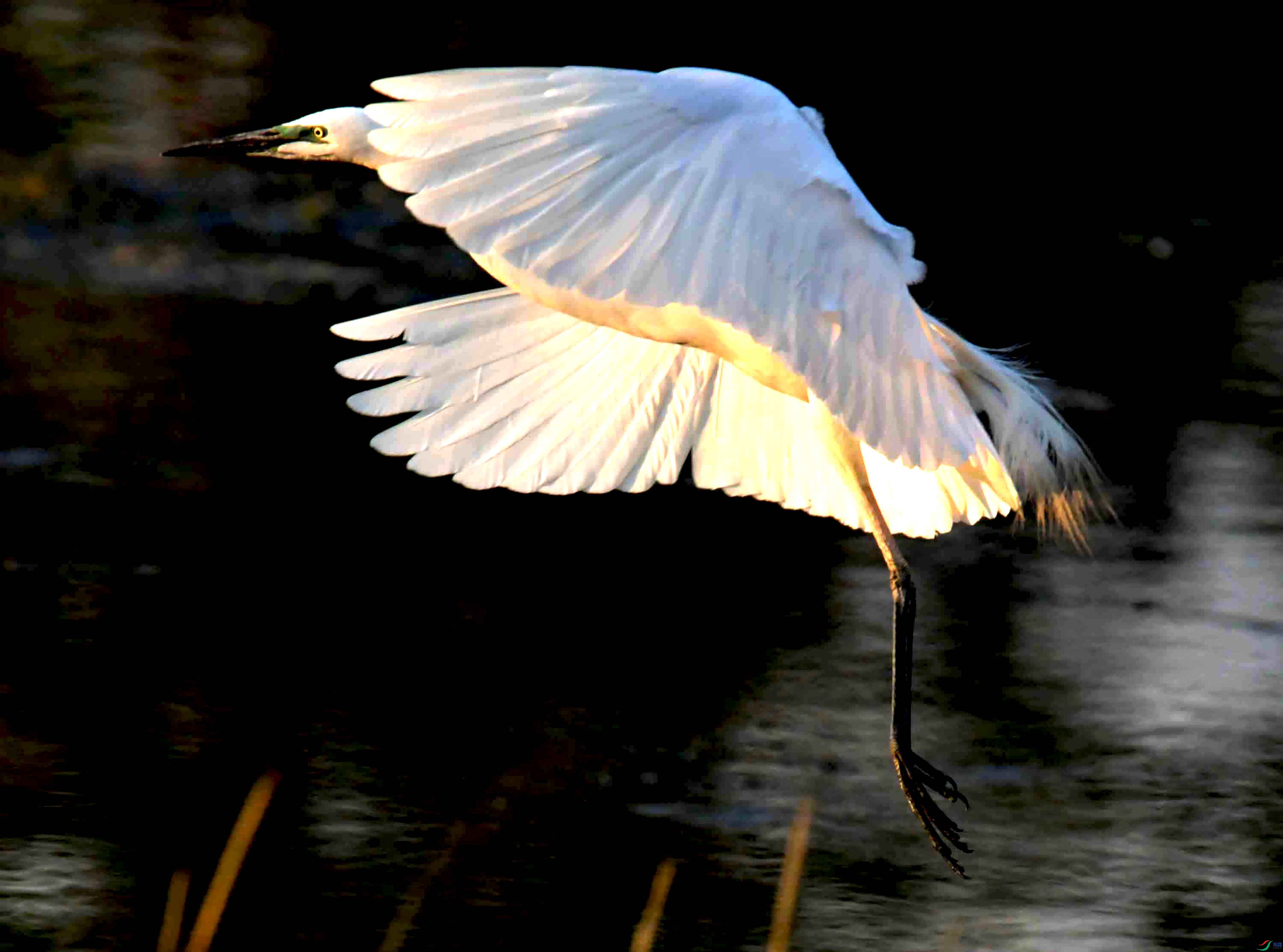 DSC_2200.JPG