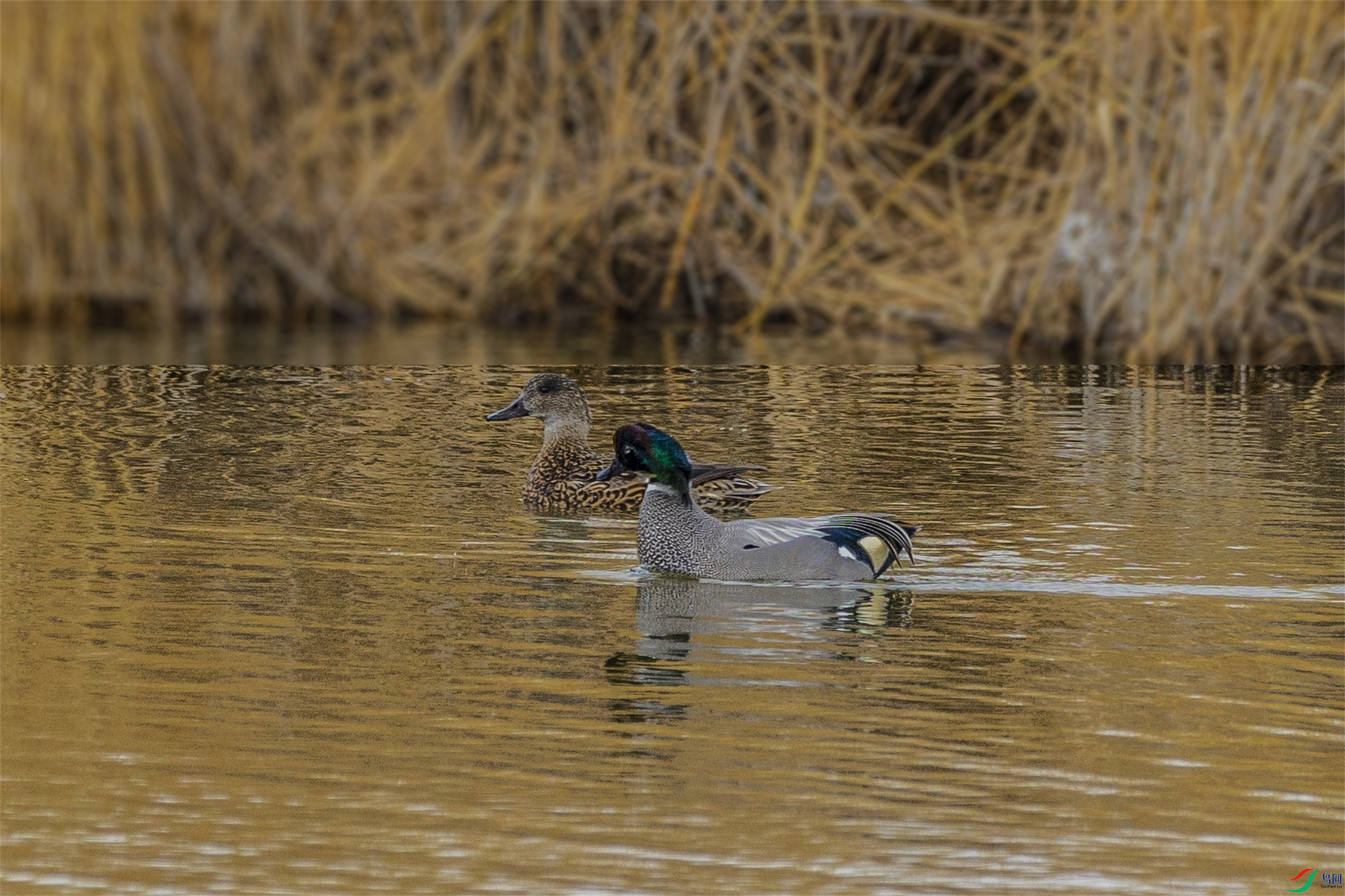 1K3A9620 ����1.jpg